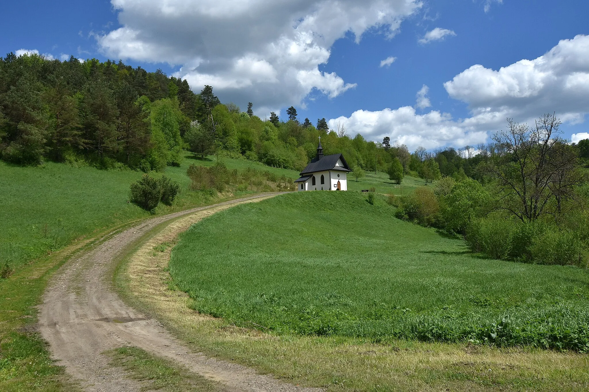 Photo showing: Żernica Niżna, kaplica Matki Boskiej Ostrobramskiej