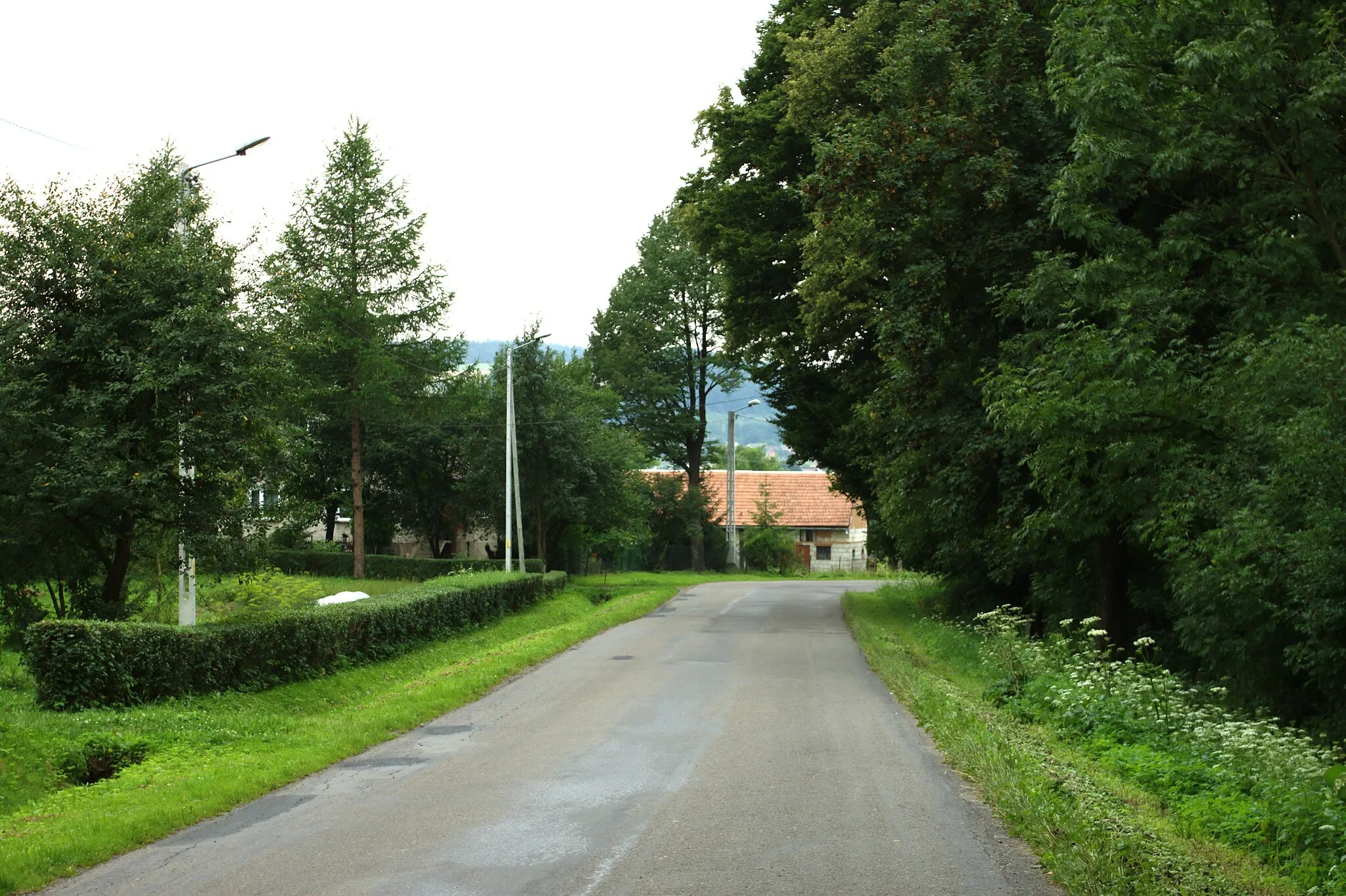 Photo showing: A road in the Wzdów village, Podkarpackie voivodeship, Poland
