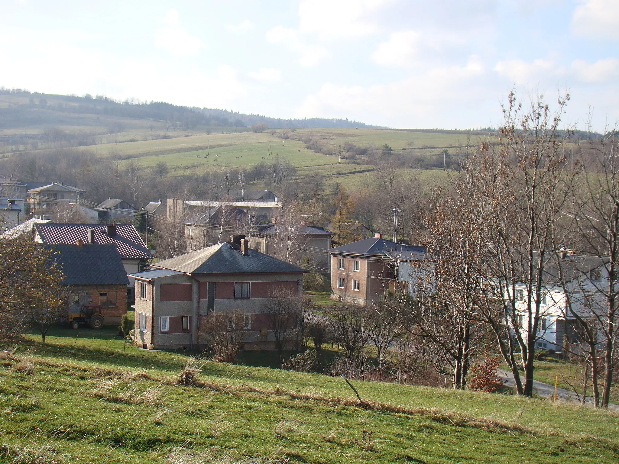 Photo showing: village Wola Piotrowa