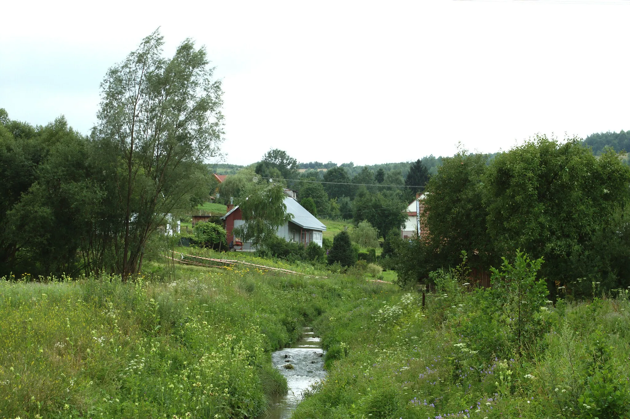 Photo showing: The making of this document was supported by Wikimedia Polska.