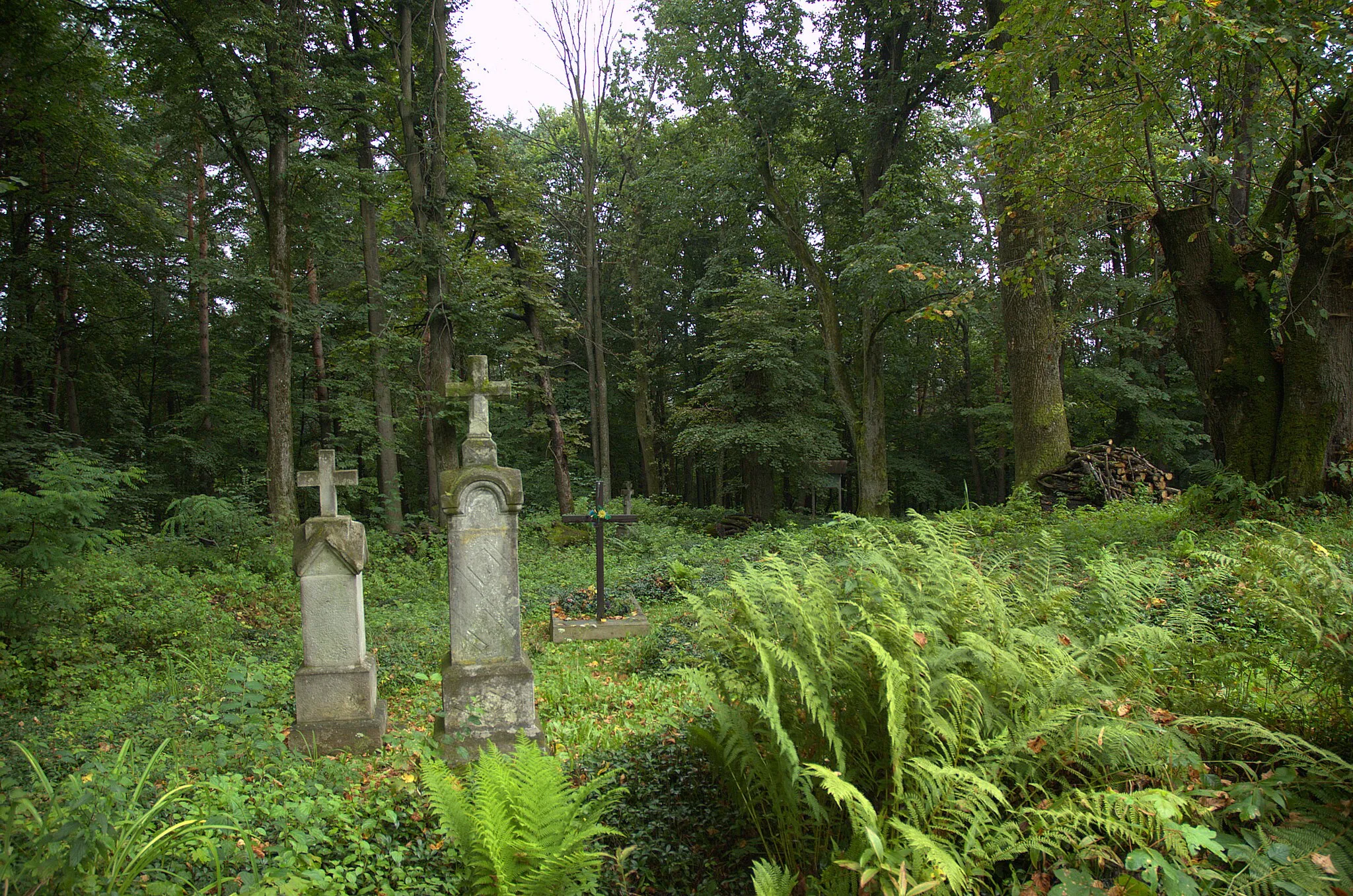 Photo showing: Surroundings the church - cemetery