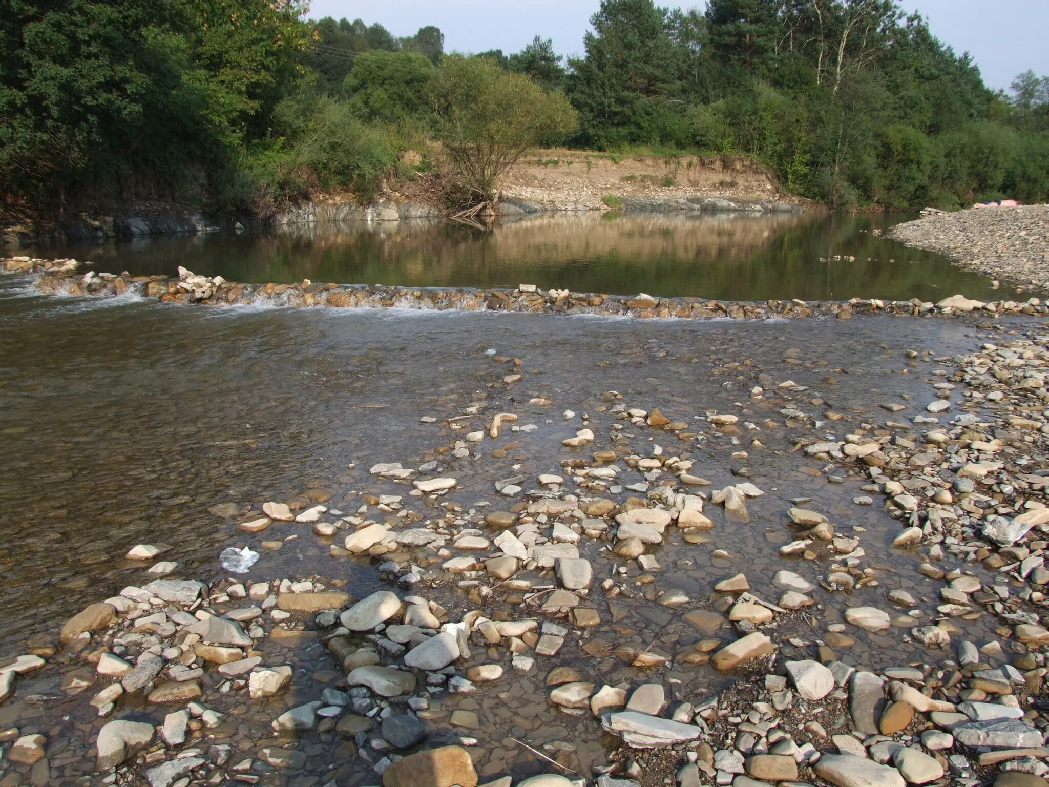 Photo showing: Jasiołka w Trzcianie