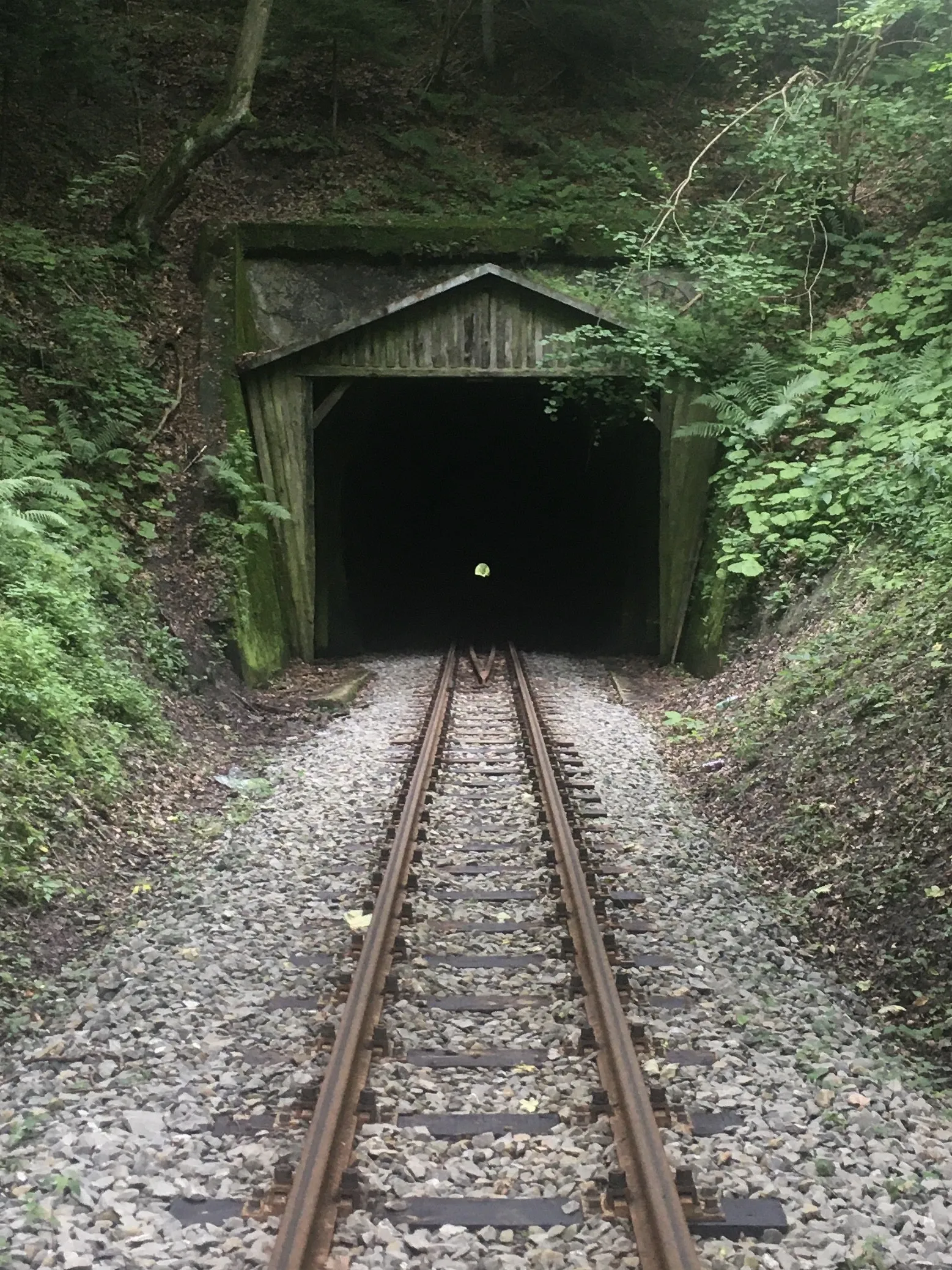 Photo showing: Tunel kolejowy w Szklarach