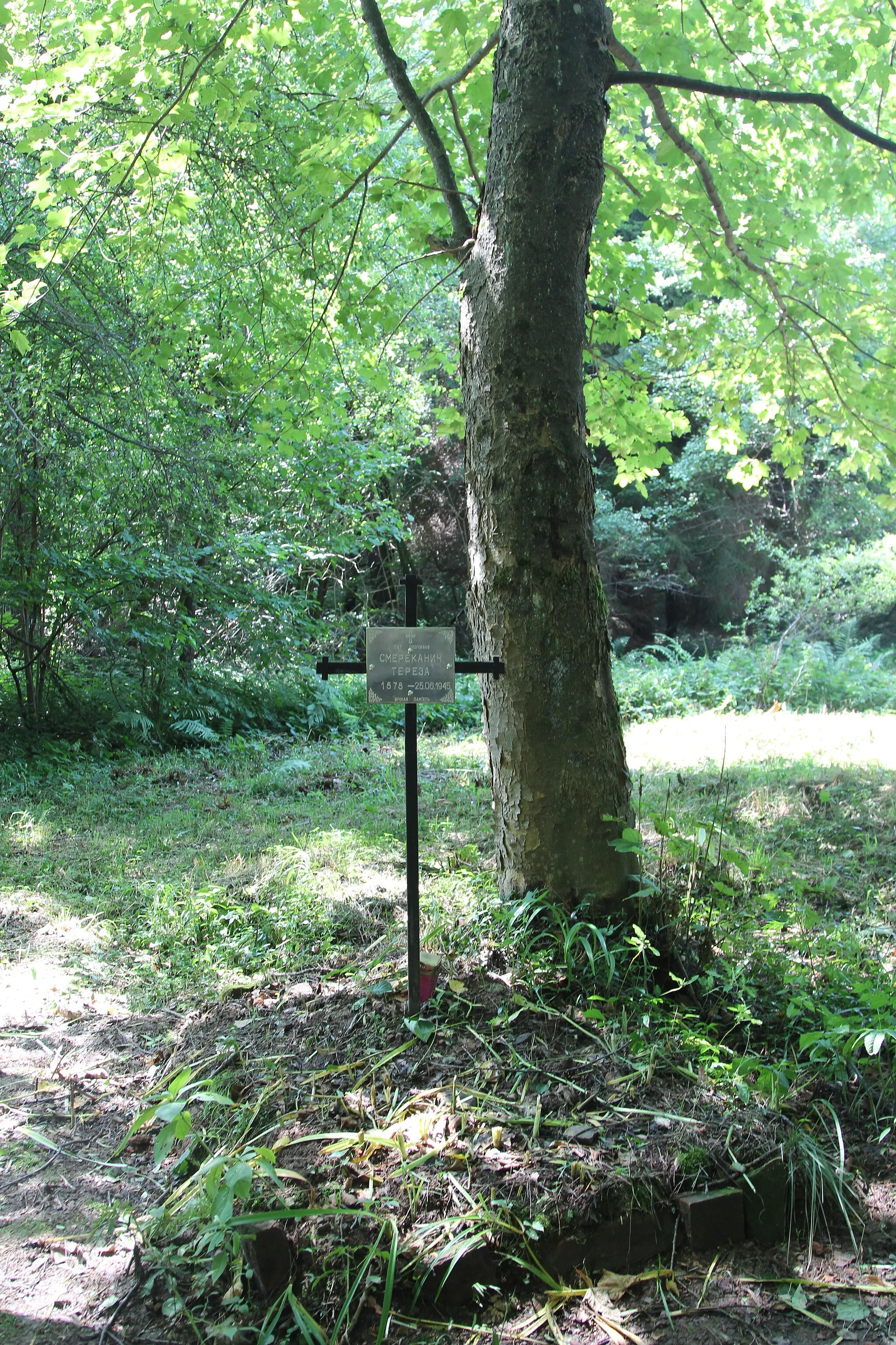 Photo showing: Cemetery in Świerzowa Ruska