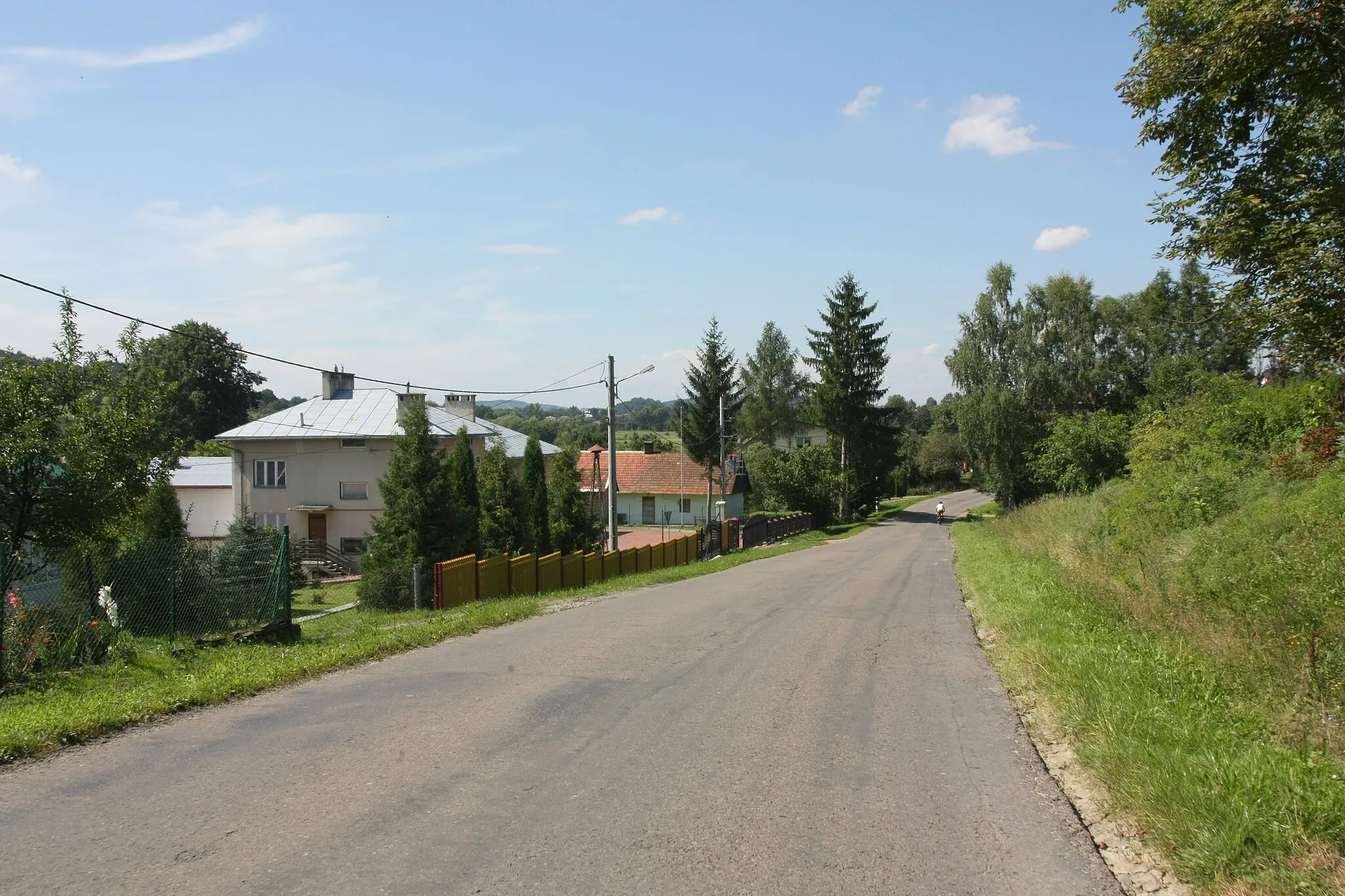 Photo showing: Road in Srogów Dolny.