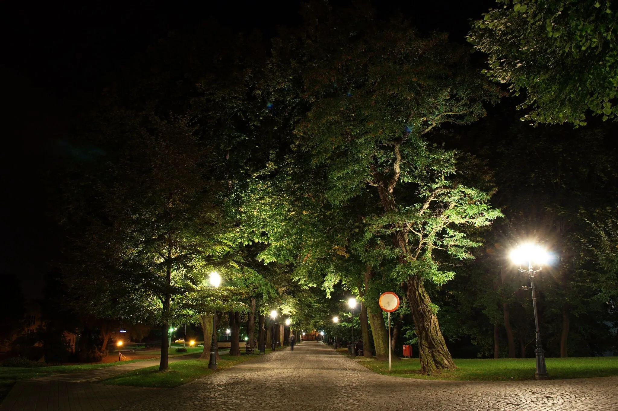 Photo showing: Trees, Aleja Lubomirskich