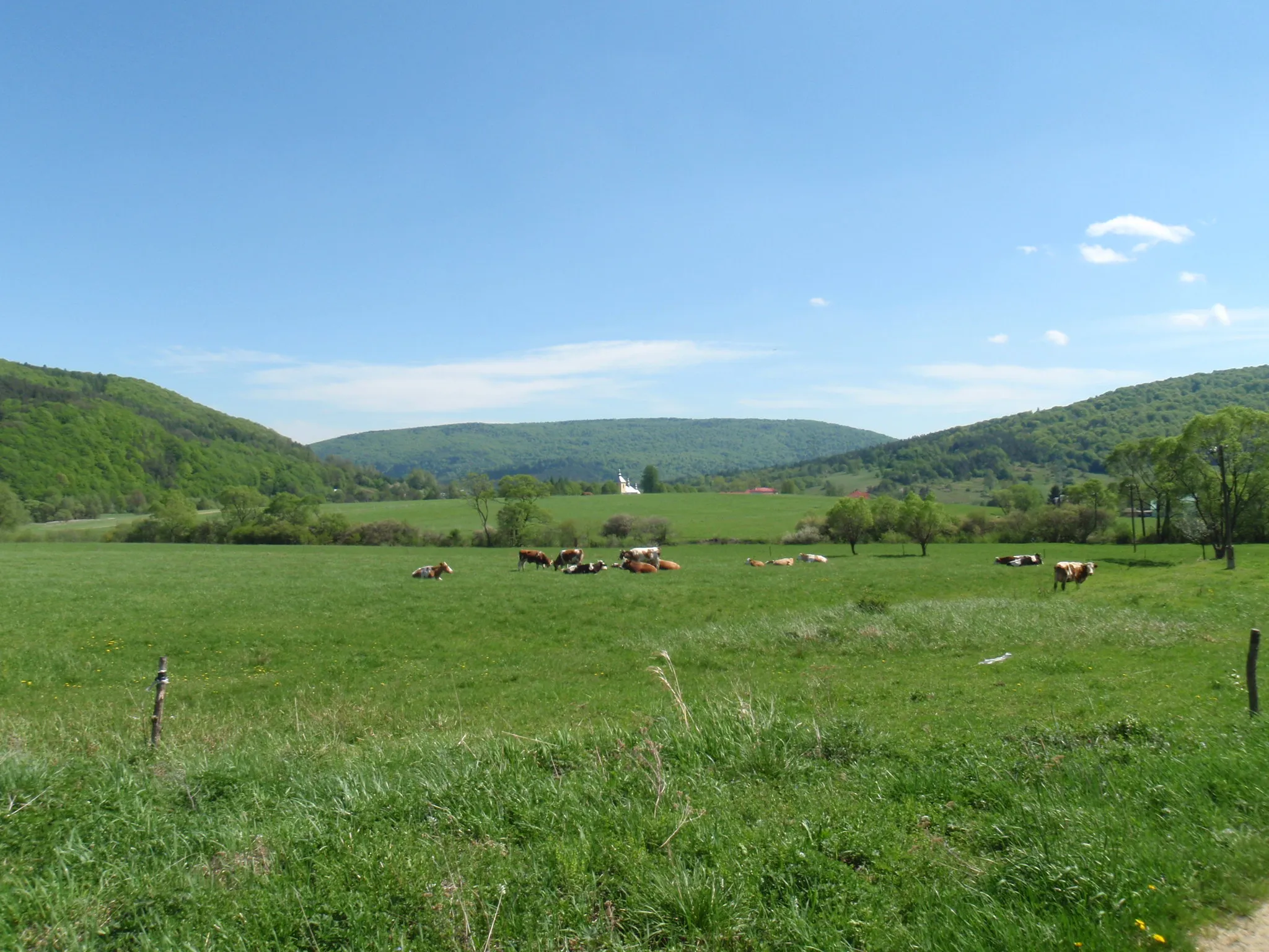 Photo showing: Village Tylawa. Mountain Piotruś in the background