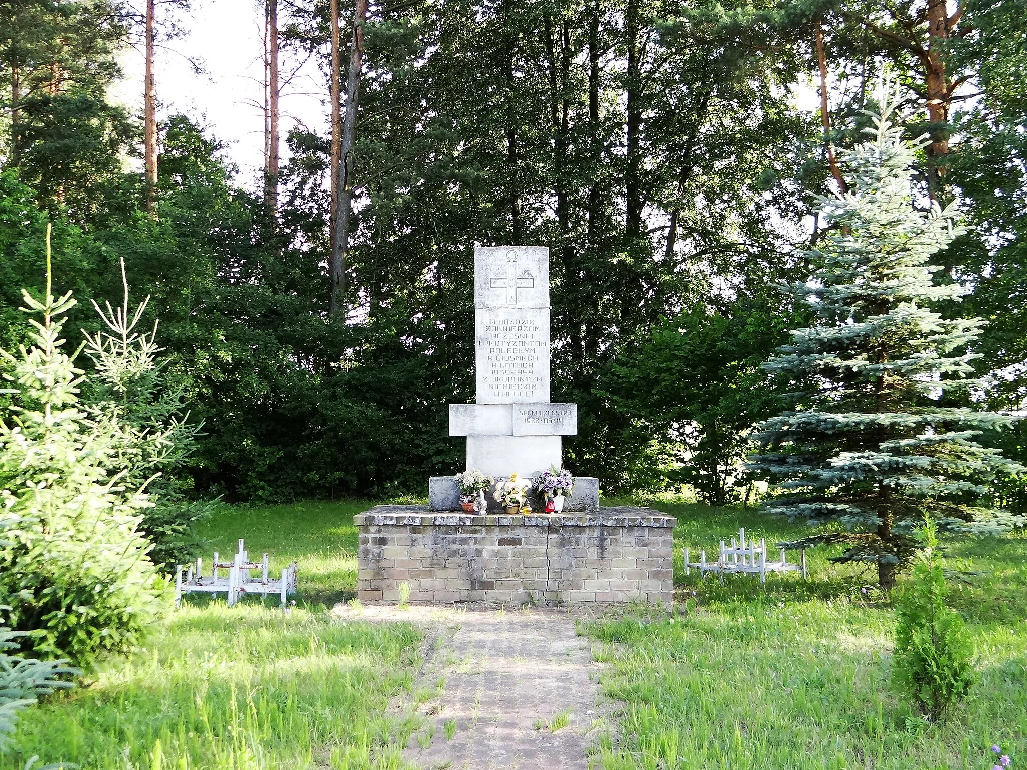 Photo showing: Zdjęcie wykonane w miejscowości Ciosmy, gmina Biłgoraj.