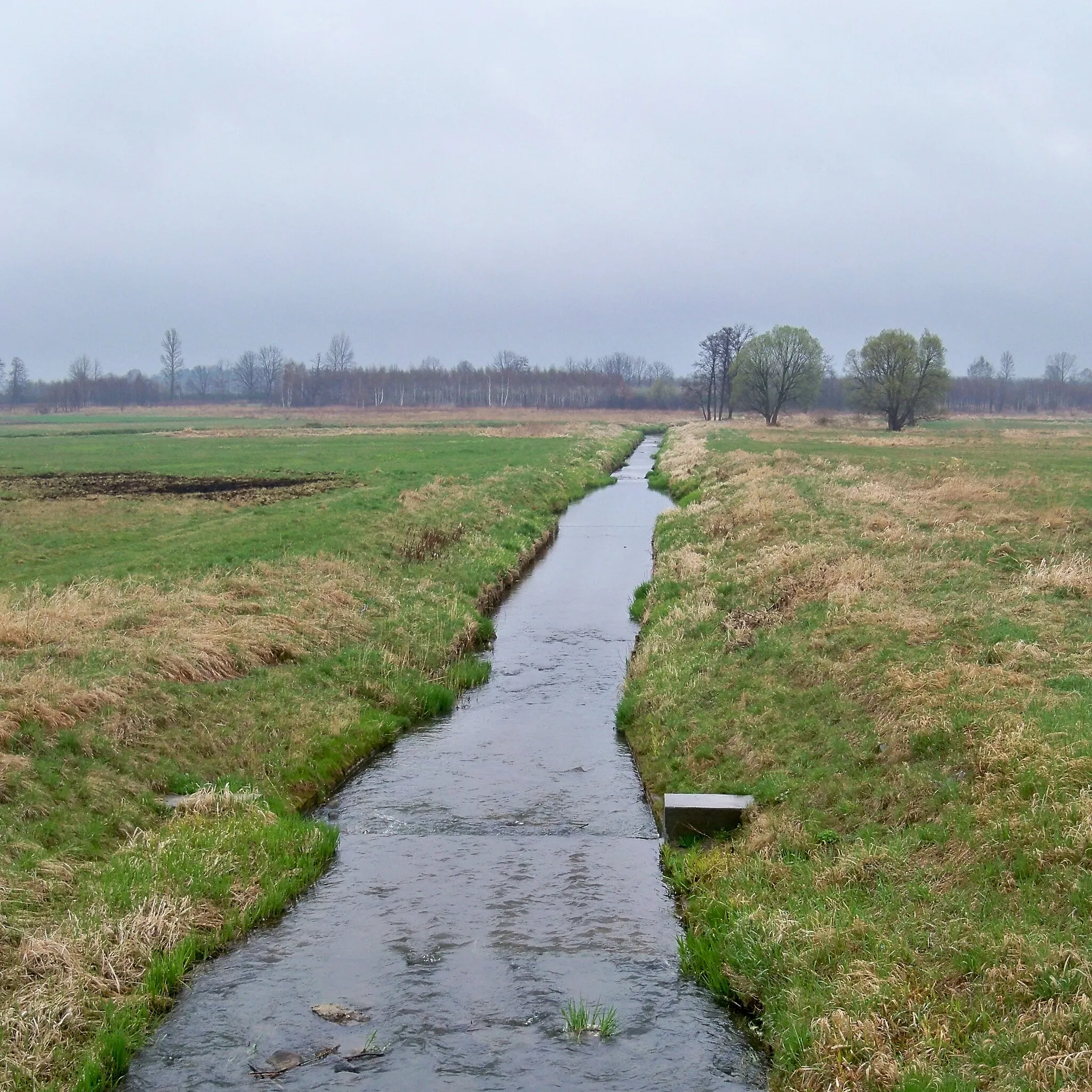 Photo showing: Uregulowana część Trzebośnicy między Kątami Trzebuskimi (po lewej) a Trzebosią (po prawej), tzw. Porąbka