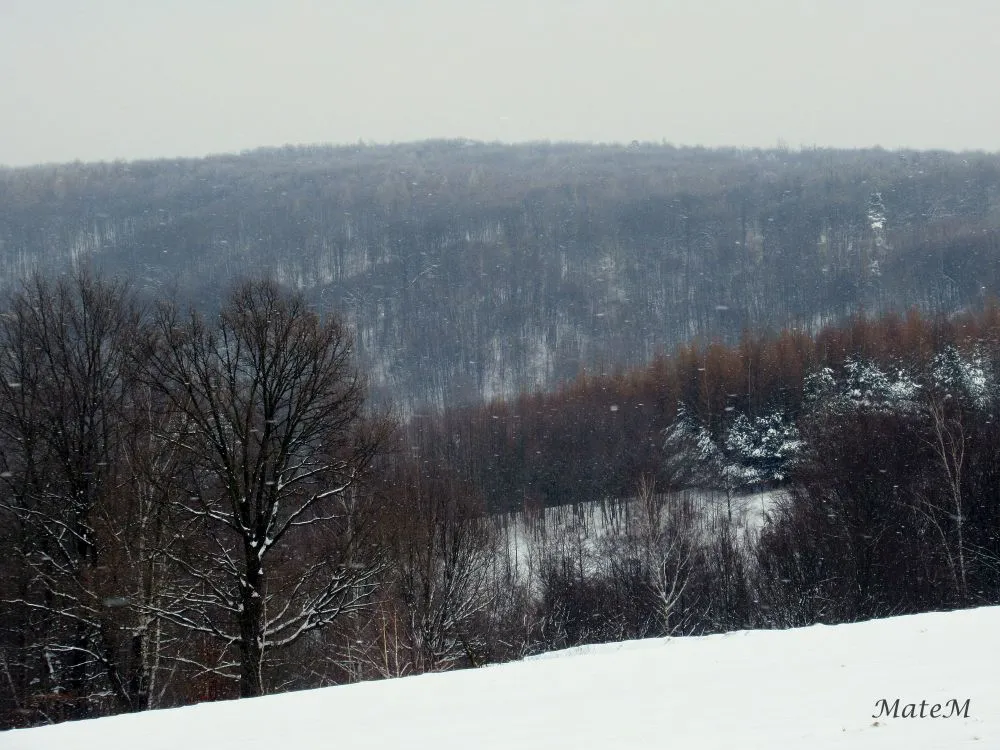 Photo showing: The landscape of Gora Bratnia from Gumniska village.