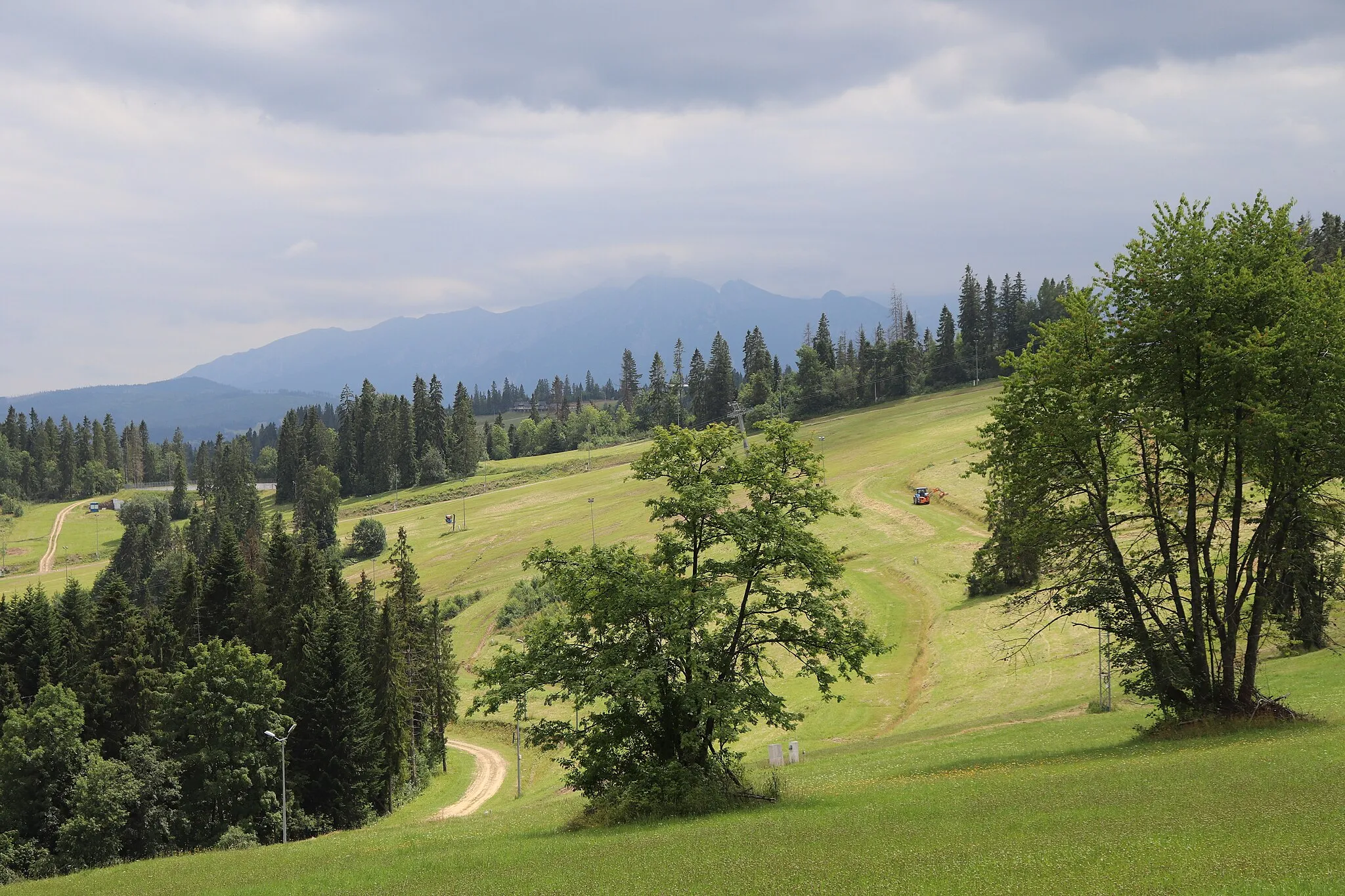 Photo showing: Groń - Jankulakowski Wierch eastern slope