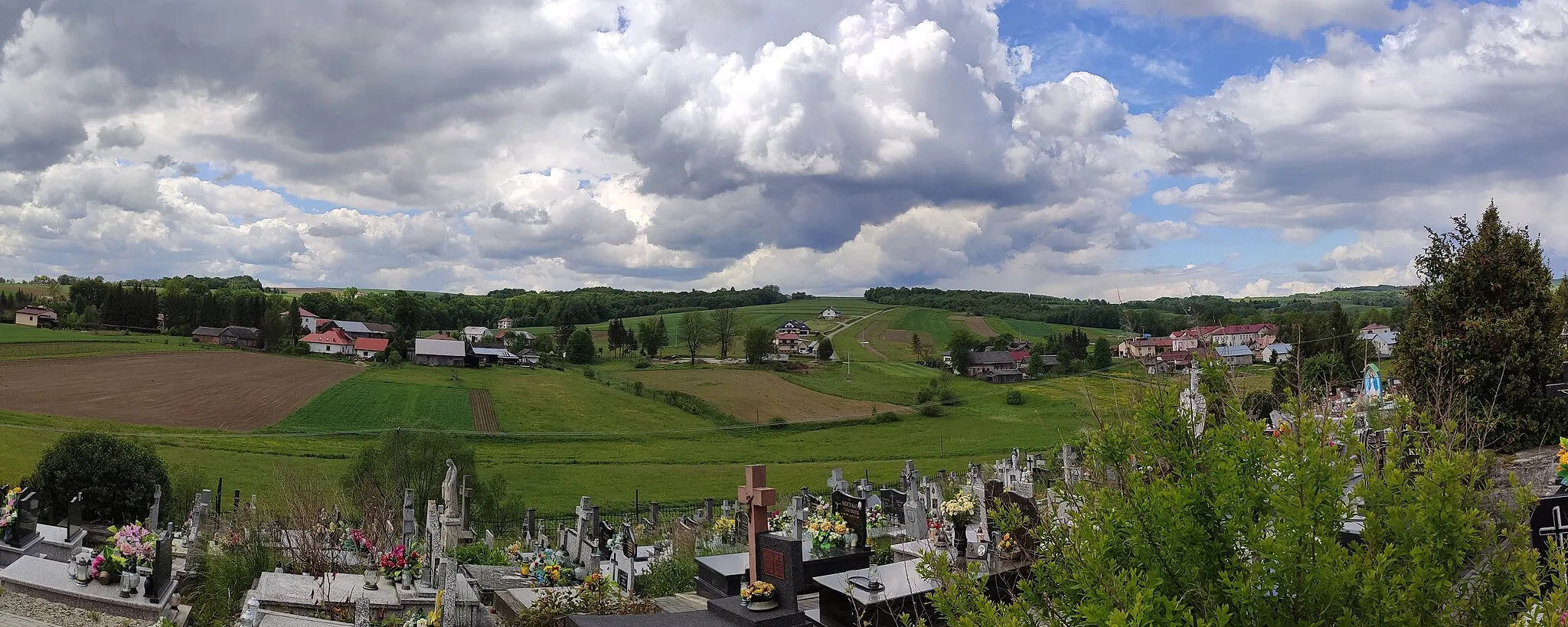 Photo showing: Panorama środkowej części wsi Harta, widok z cmentarza parafialnego; po prawej stronie w tle budynek szkoły podstawowej.
