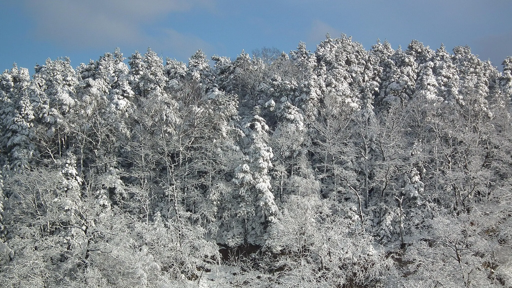 Photo showing: Gorlice Góra Parkowa