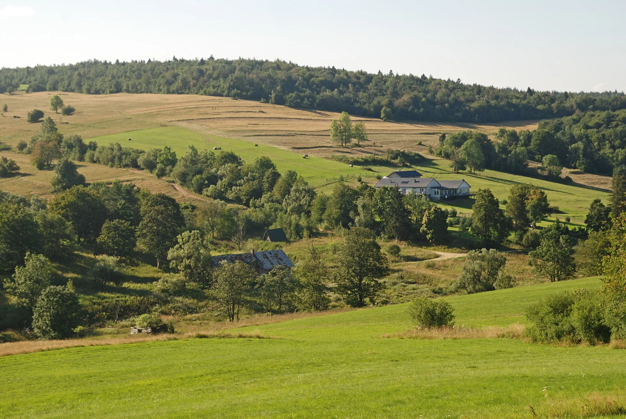 Photo showing: wieś Radocyna