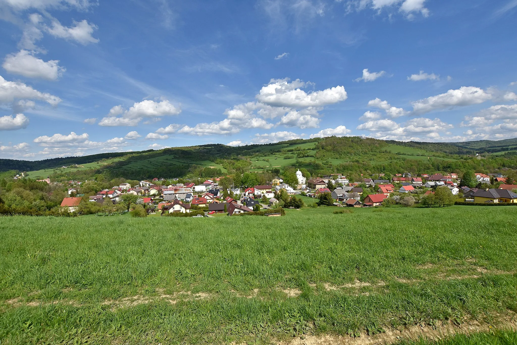 Photo showing: wieś Baligród