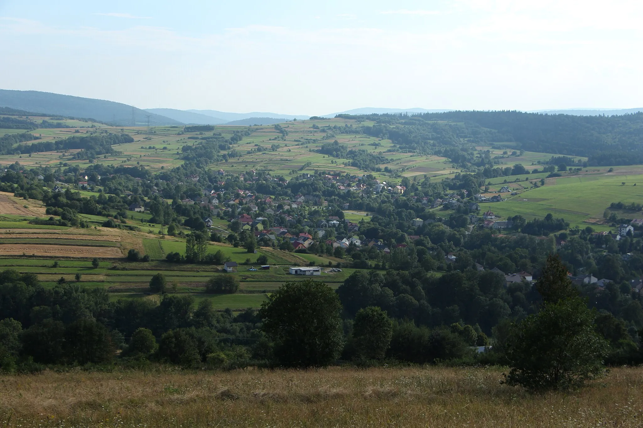 Photo showing: Lubatowa village, Poland. View from Żabia góra