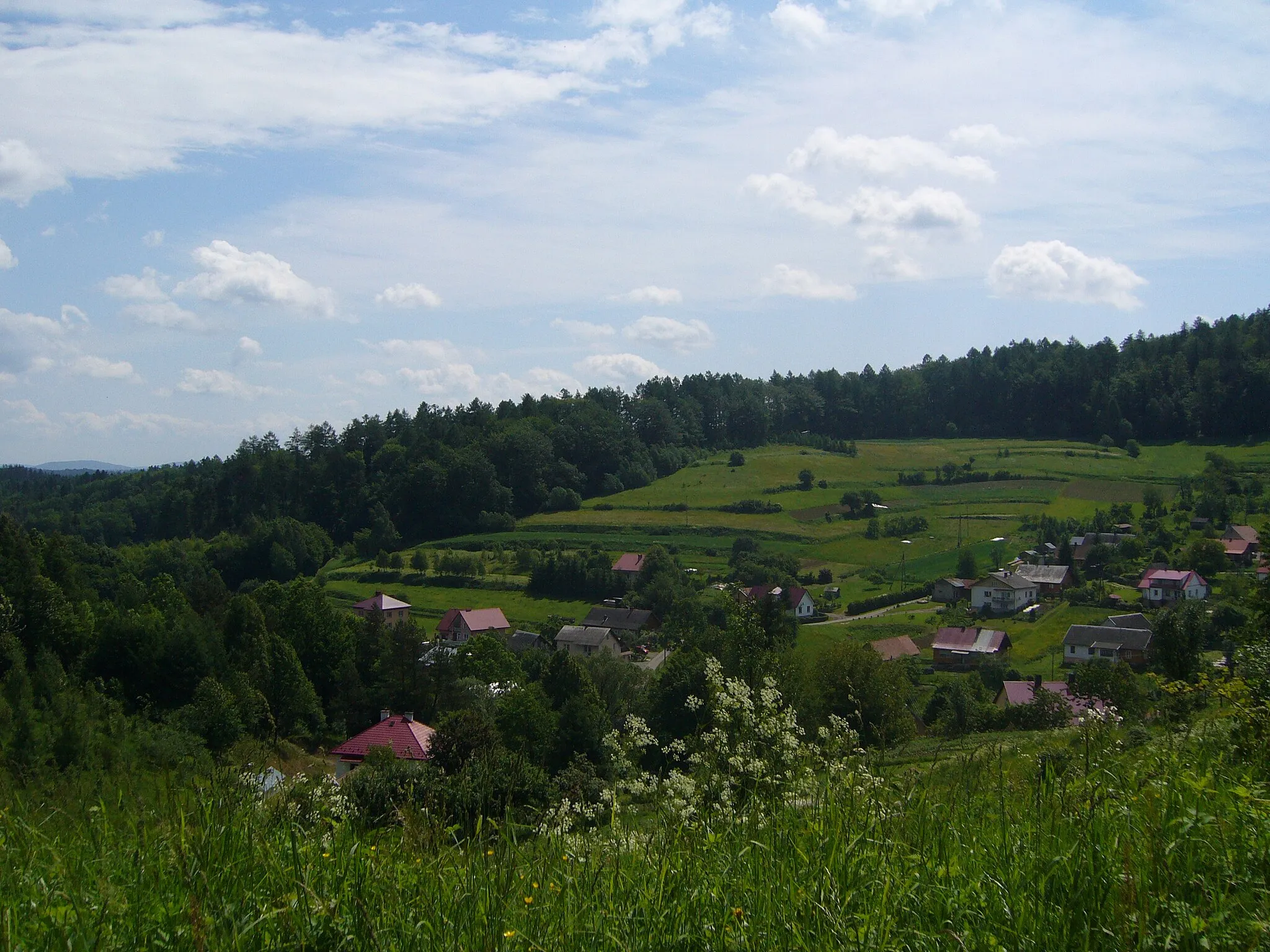 Photo showing: Krajobraz Poraża czerwiec 2009