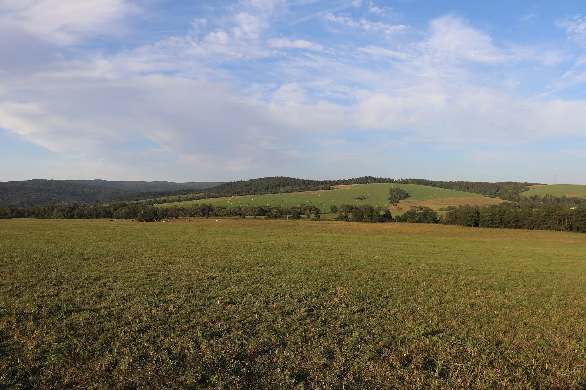 Photo showing: Moszczaniec - landscape