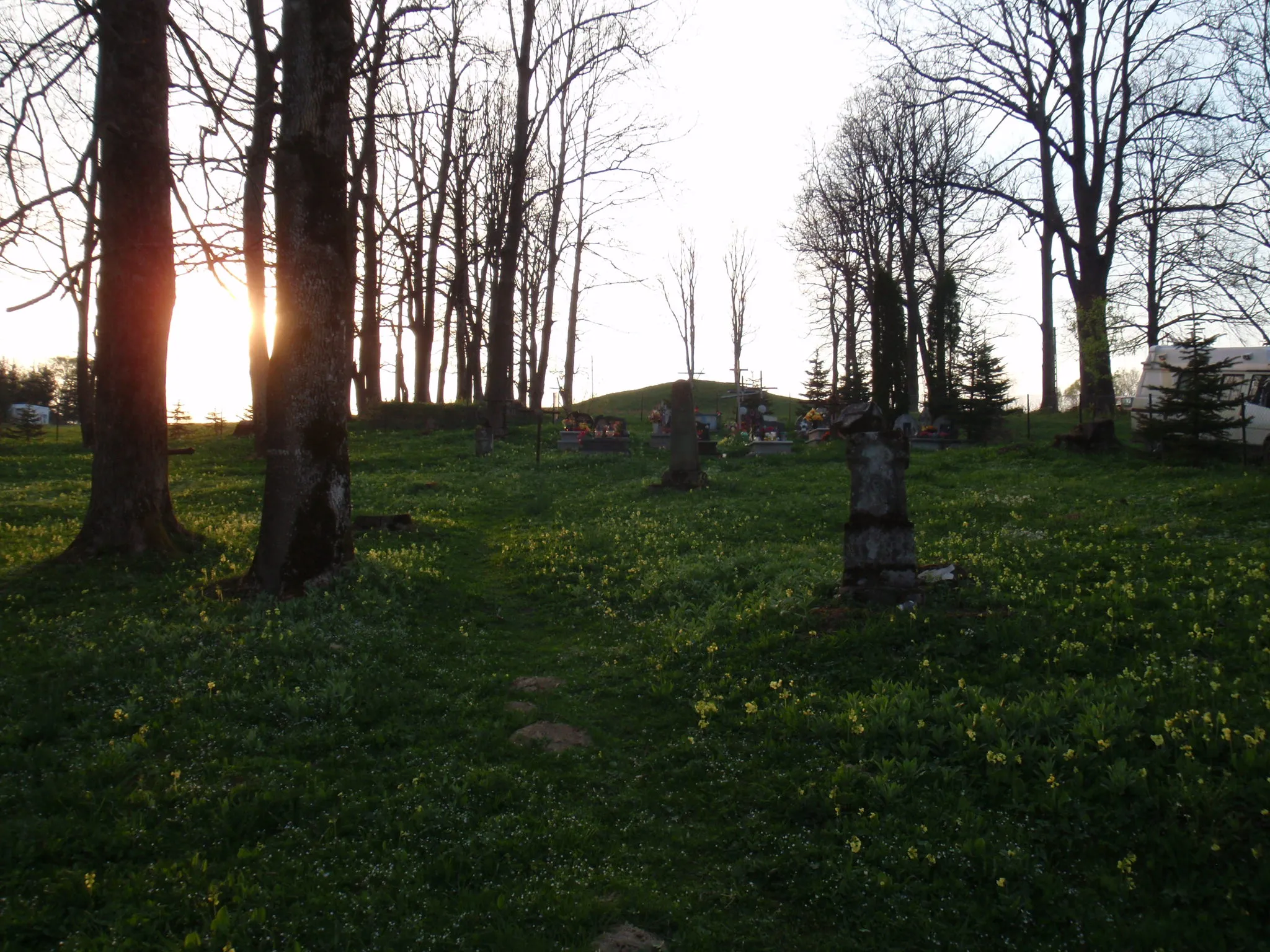 Photo showing: Old catholic cemetery in Lutowiska