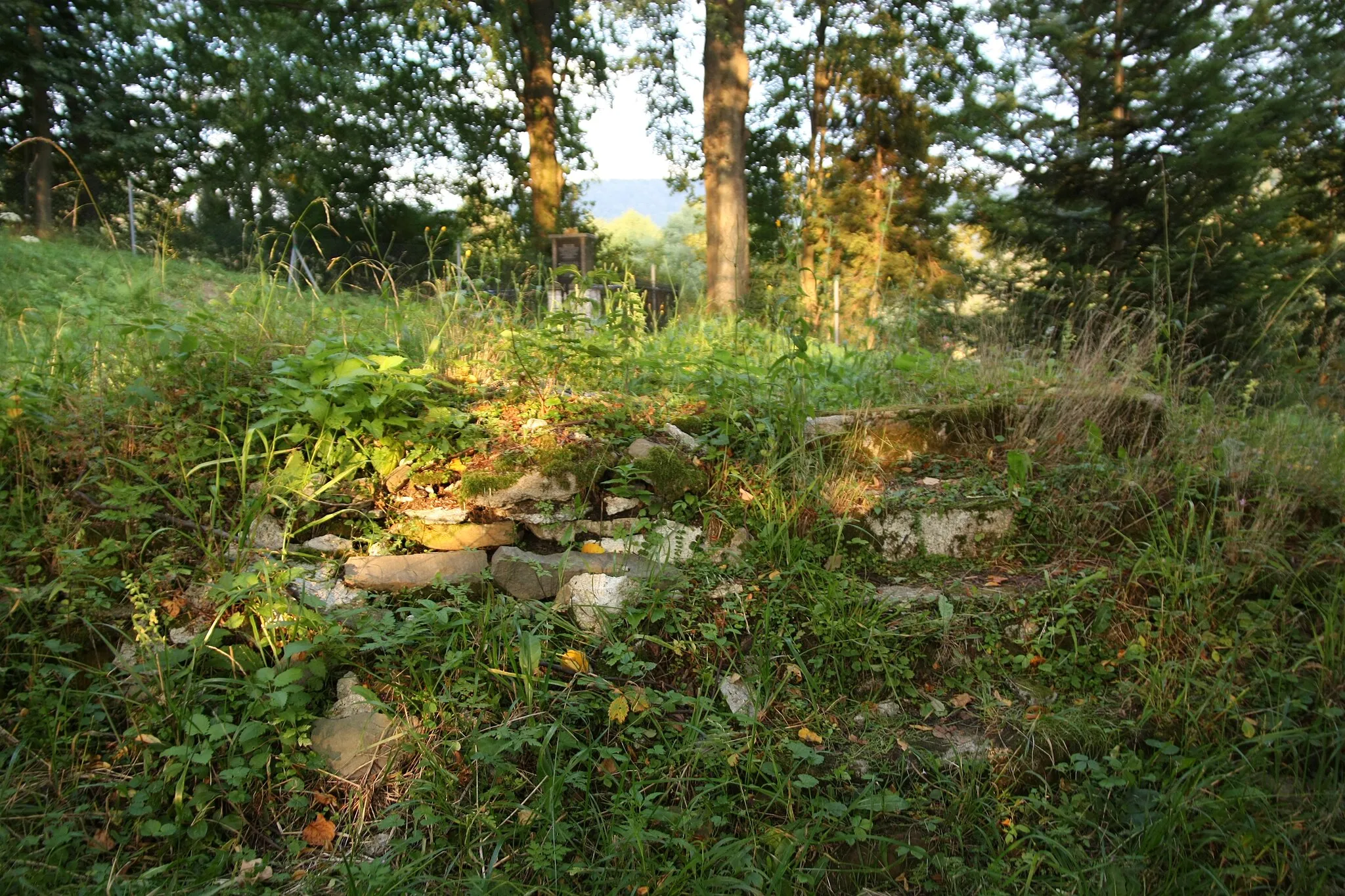 Photo showing: Orthodox church in Dołżyca.