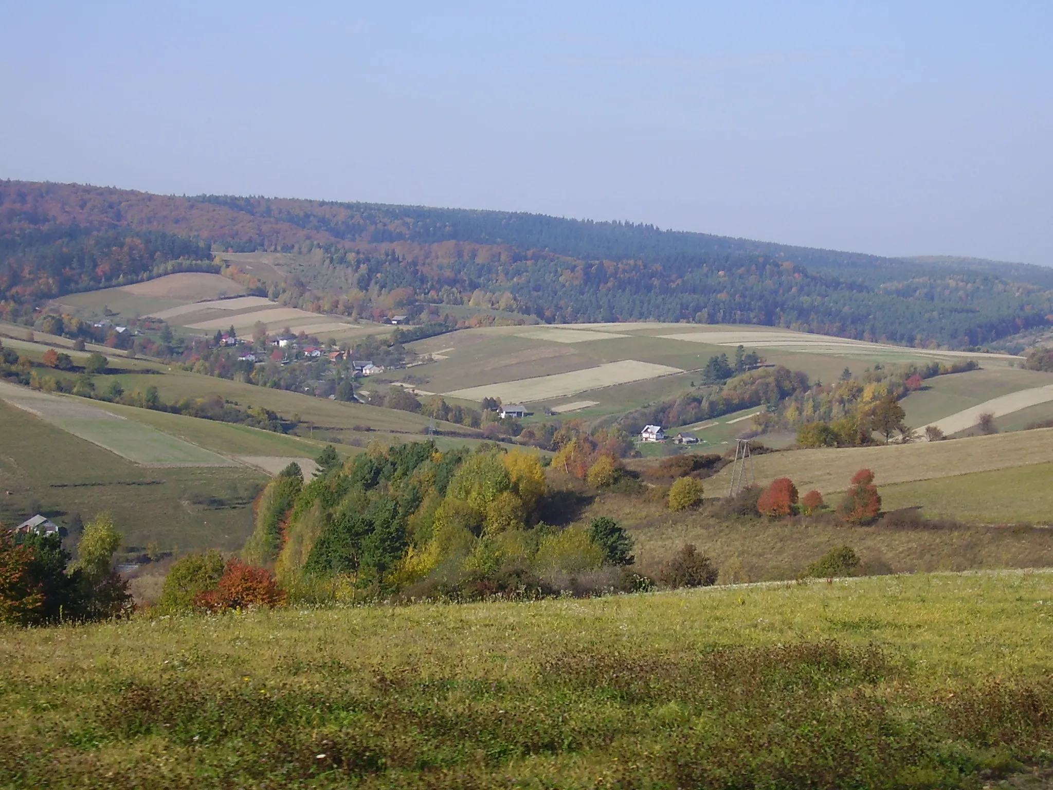 Photo showing: Widok na dolinę Leszczawki