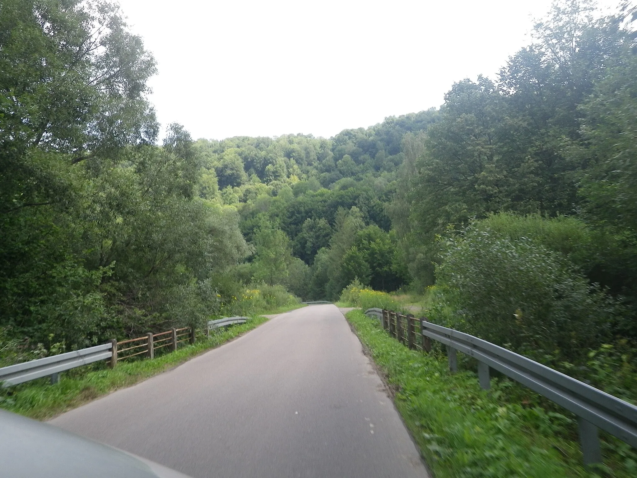 Photo showing: Road near Buk village, Bieszczady, Poland