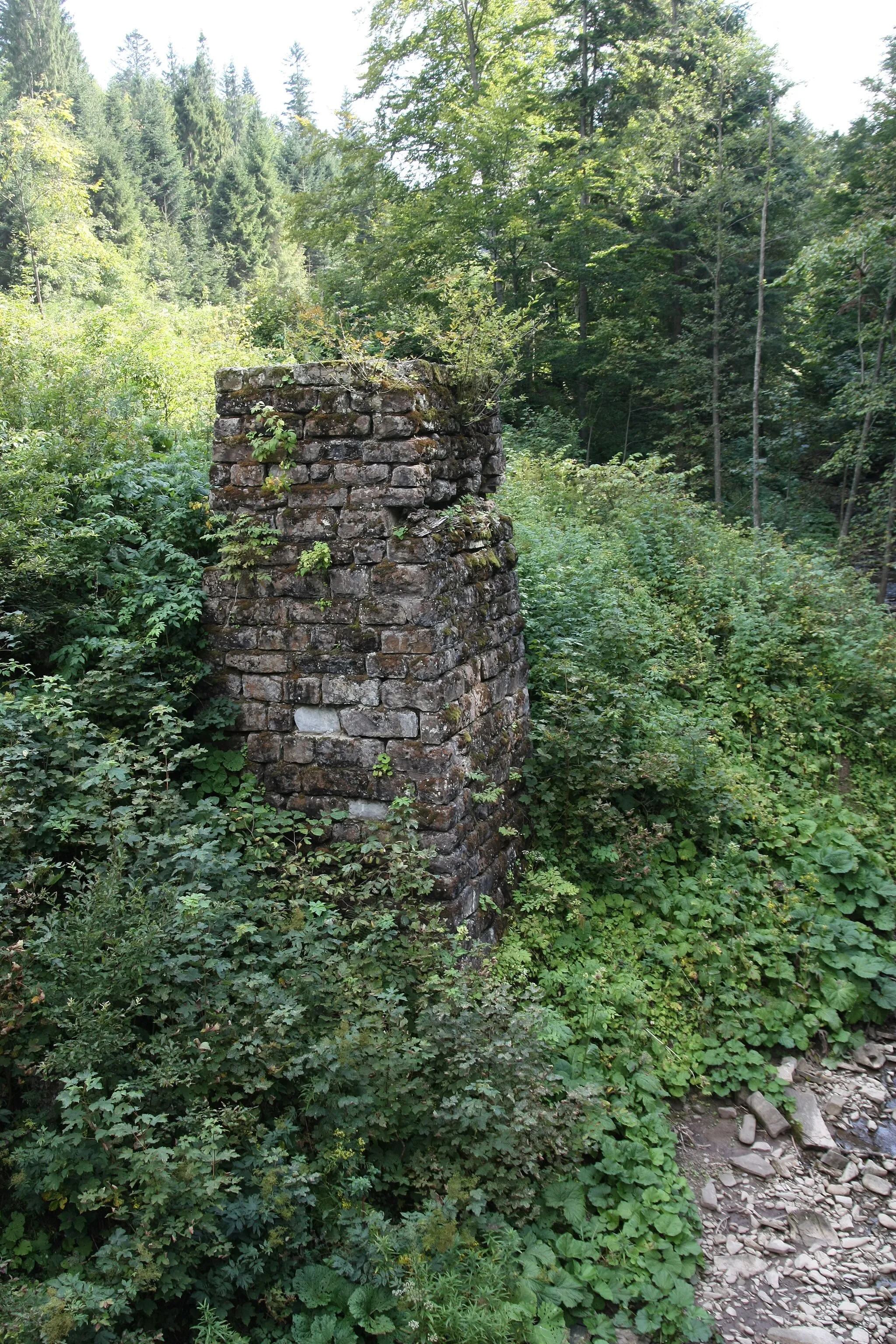 Photo showing: Supports of the old bridge in Tarnawa Niżna