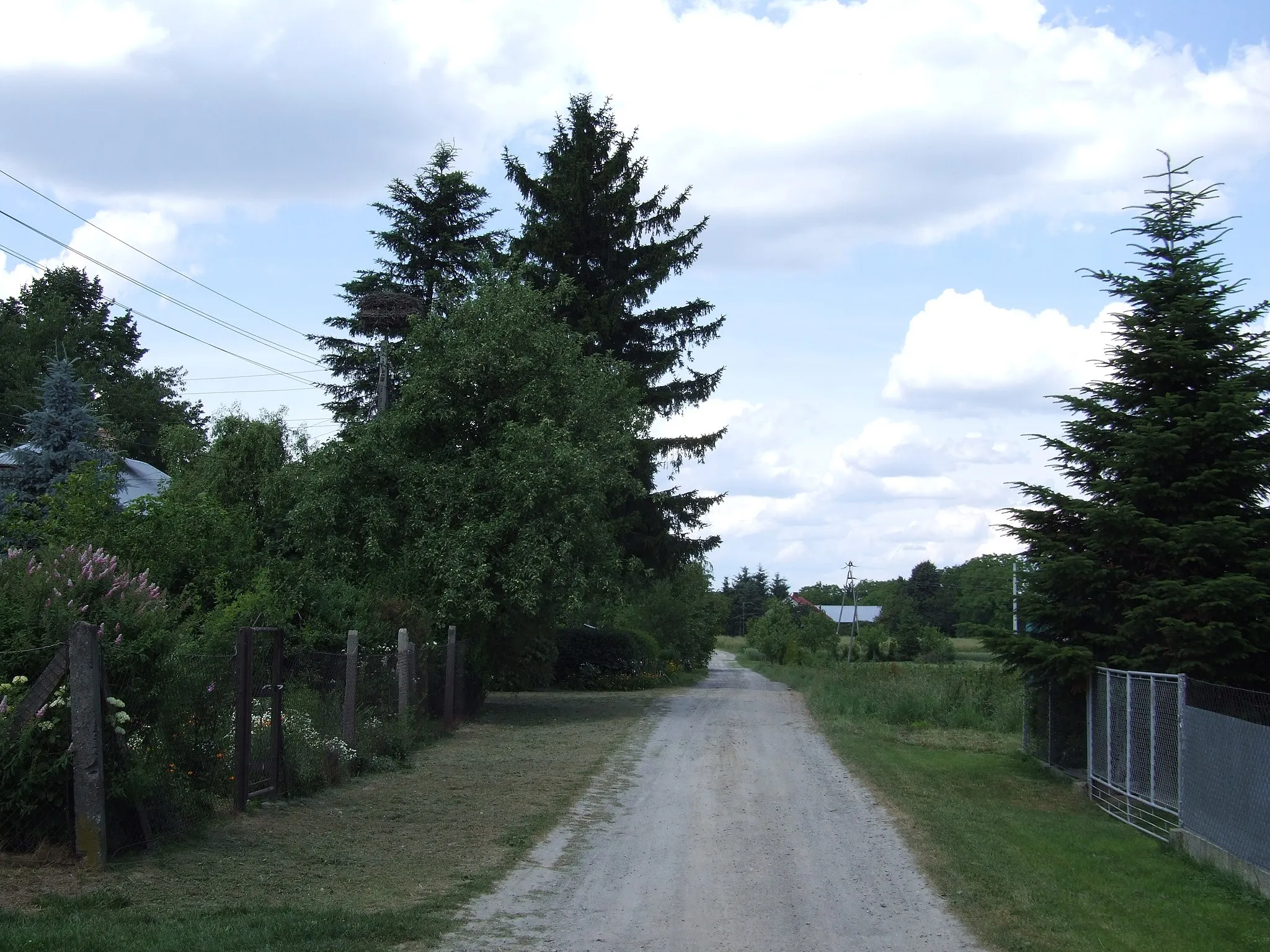 Photo showing: Rogóżno - droga do Świętego Jeziora, widok w stronę centrum wsi