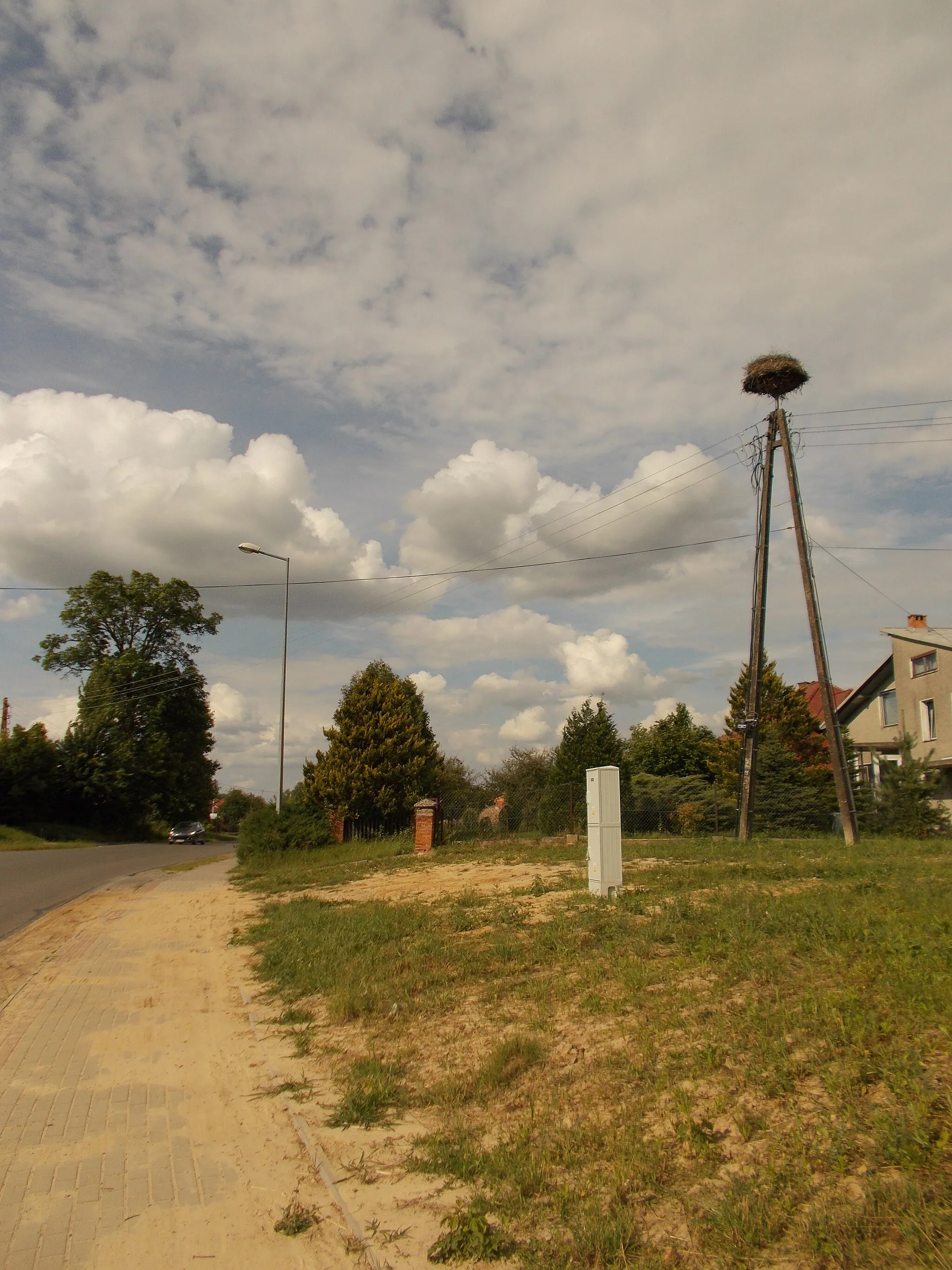 Photo showing: Bocianie gniazdo w miejscowości Dąbków pomiędzy numerami 21-25