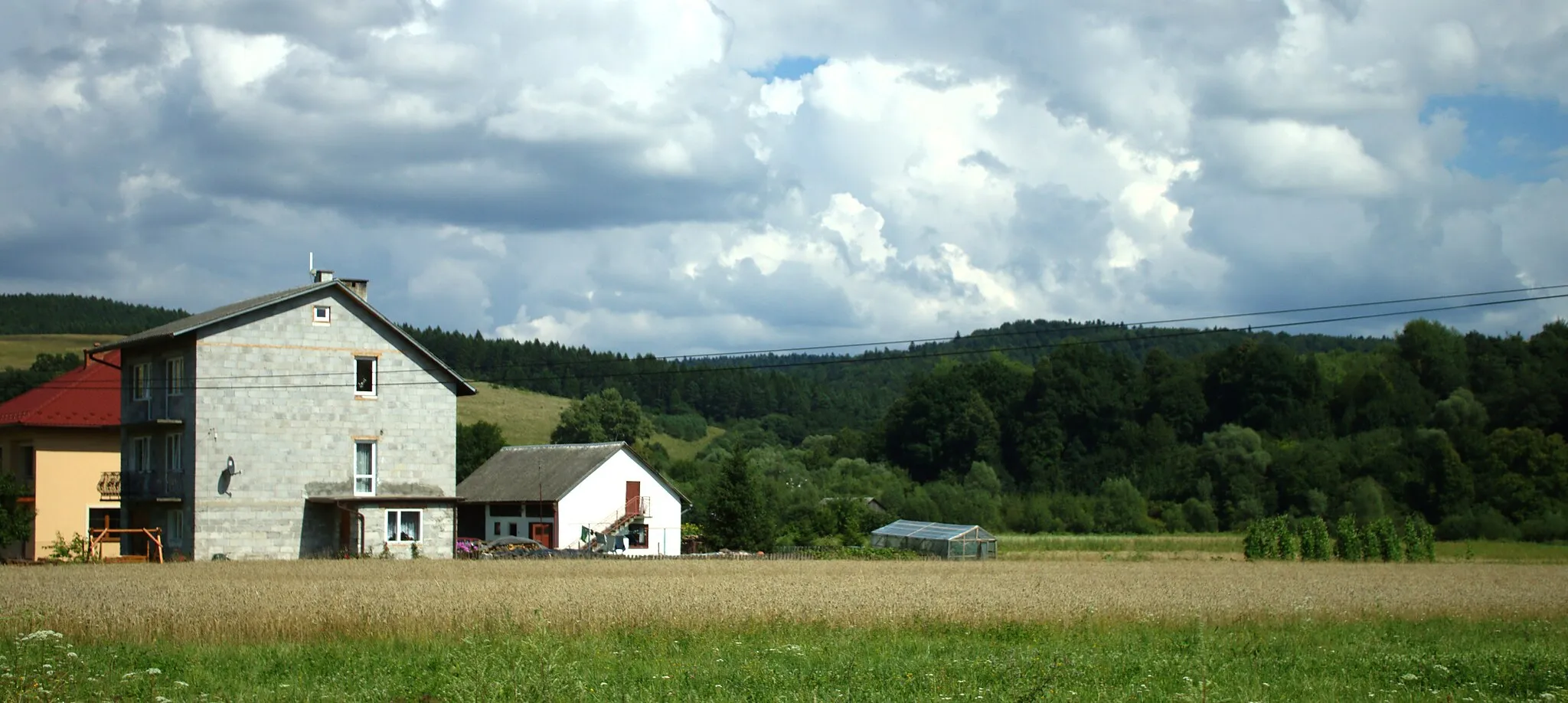 Photo showing: Some houses on the edge of the Brzuska village, Podkarpackie voiovdeship, Poland