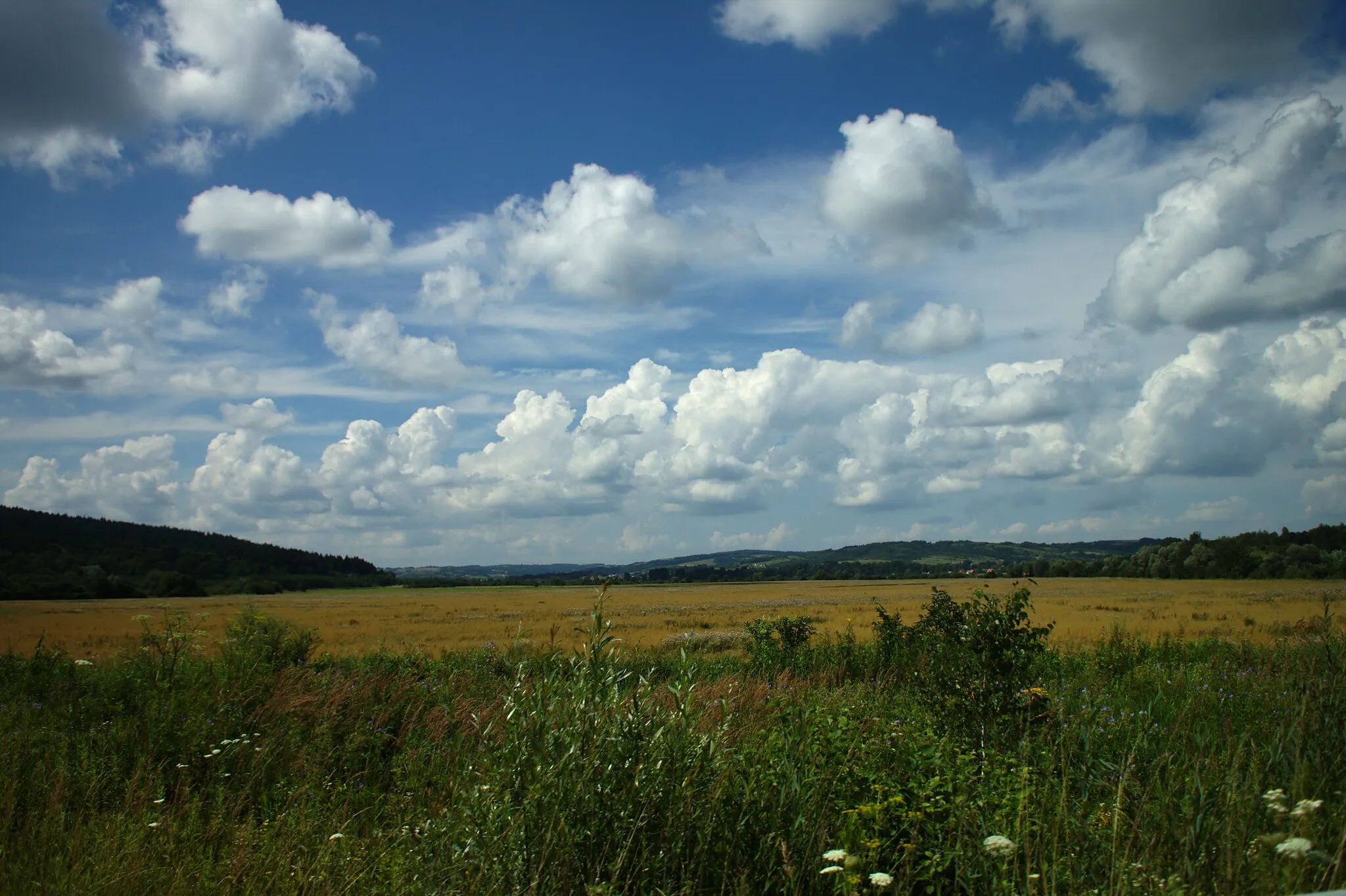 Photo showing: A field in the San River valley near the Iskań village, Podkarpackie voivodeship, Poland