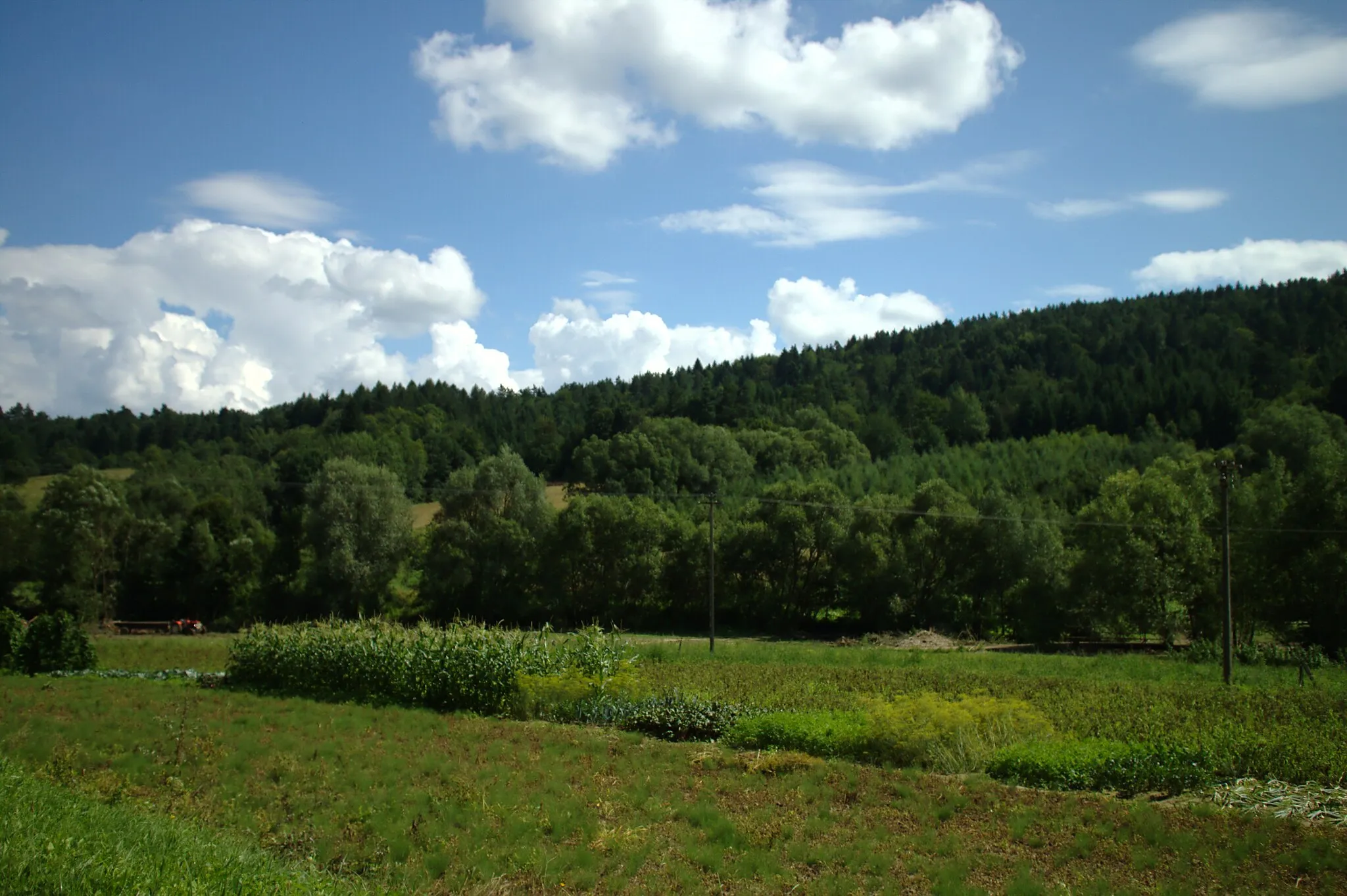 Photo showing: Polish countryside near the village of Iskań and San River valley