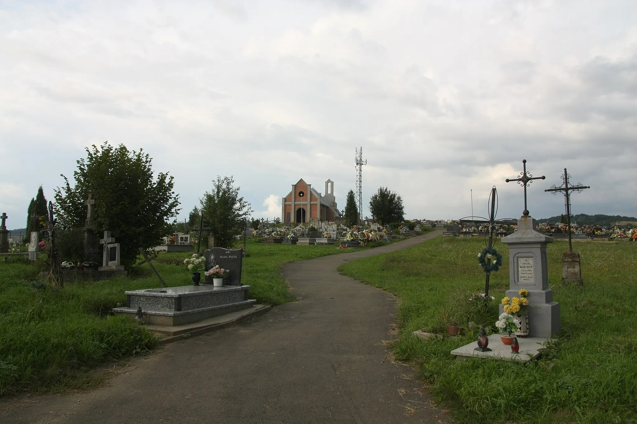 Photo showing: Cemetery in Niebieszczany.