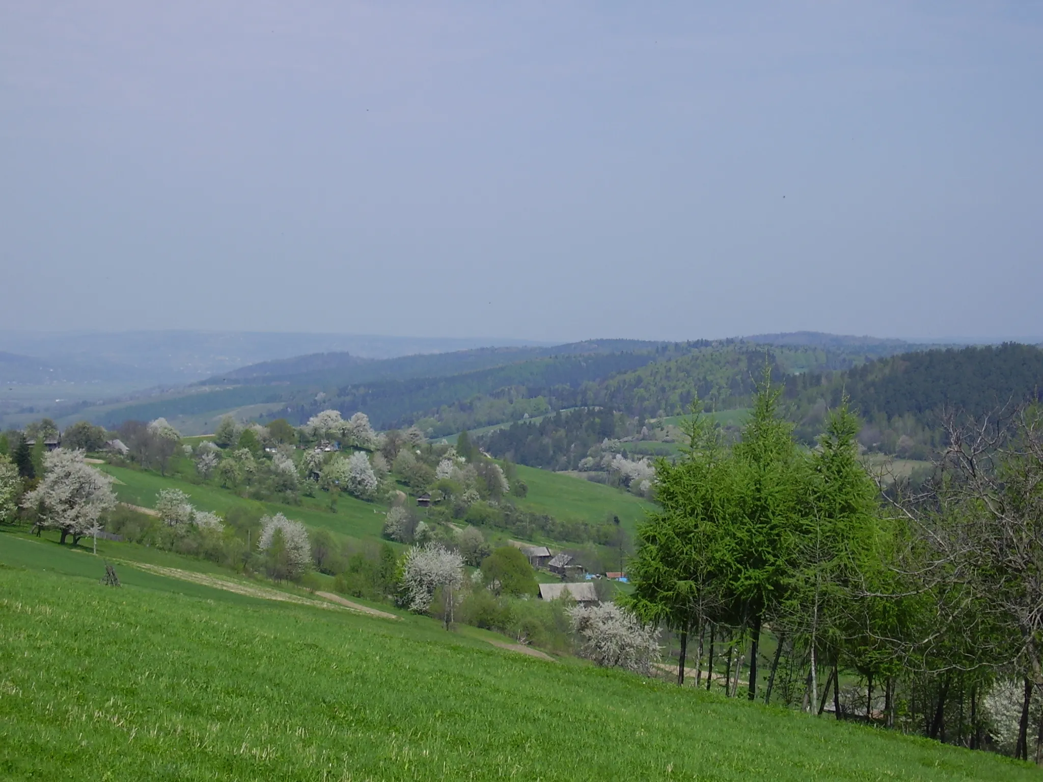 Photo showing: Widok na Hute Brzuską