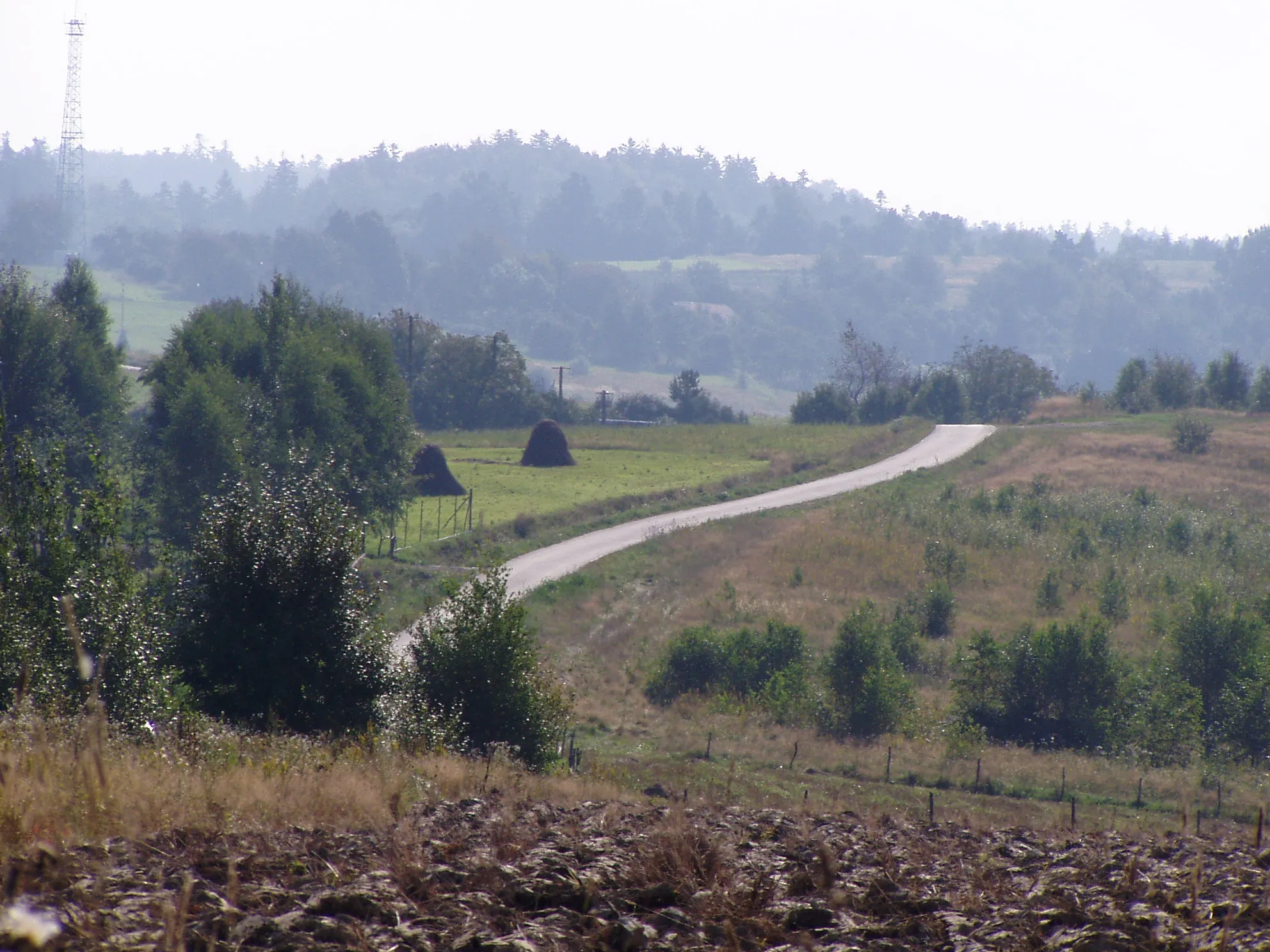 Photo showing: Huta Brzuska, Nowa droga z Łazów.