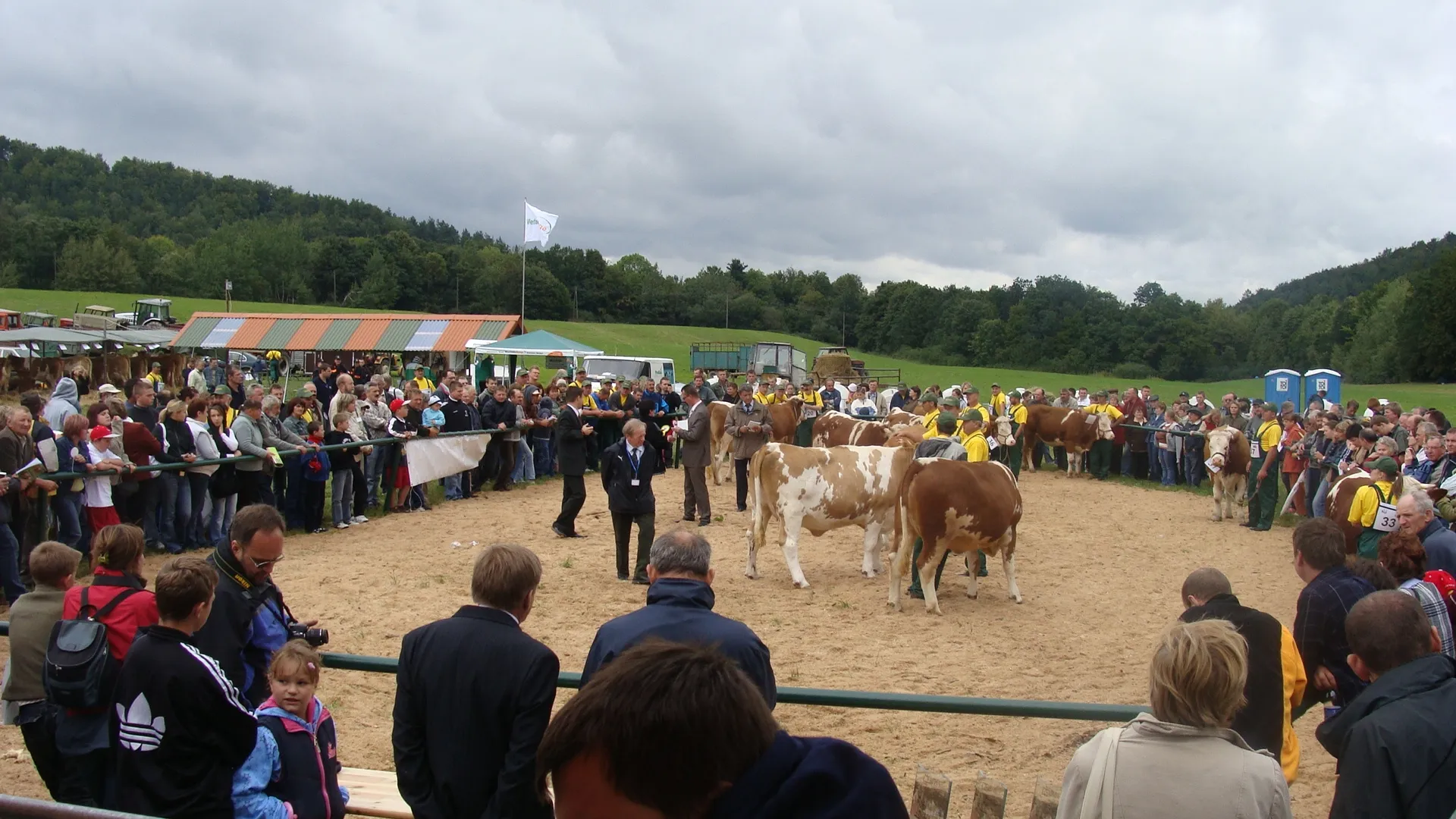 Photo showing: The autumn cattle exhibition in Rudawka Rymanowska.