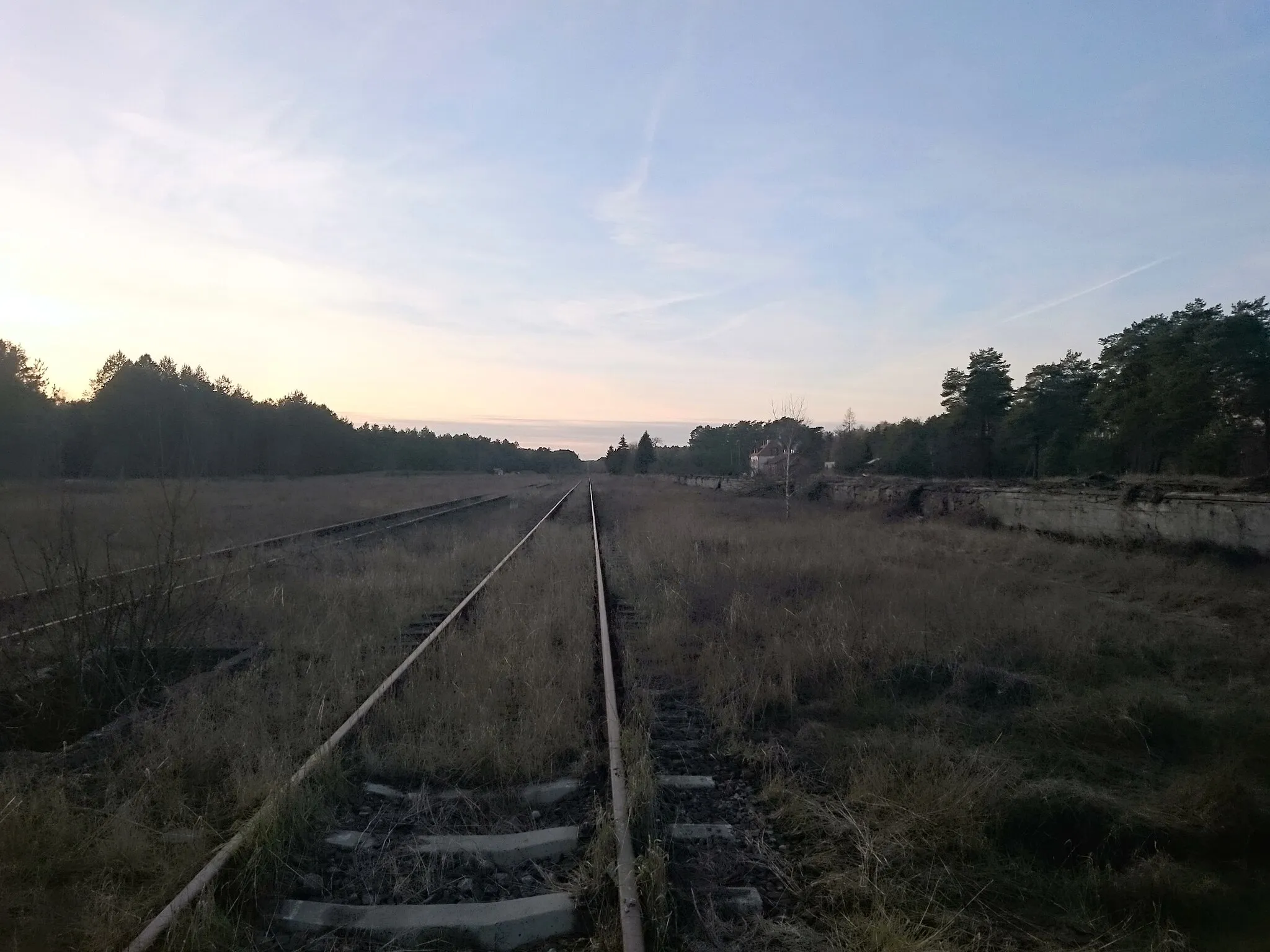 Photo showing: Tracks and platforms at Czerwony Bór railway station, gmina Zambrów, podlaskie, Poland