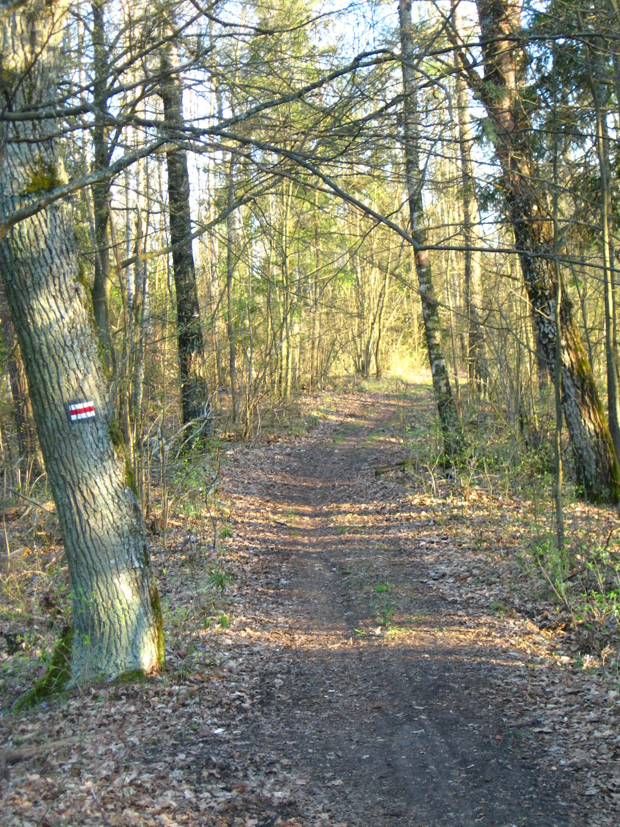 Photo showing: pl:Szlak Wzgórz Świętojańskich