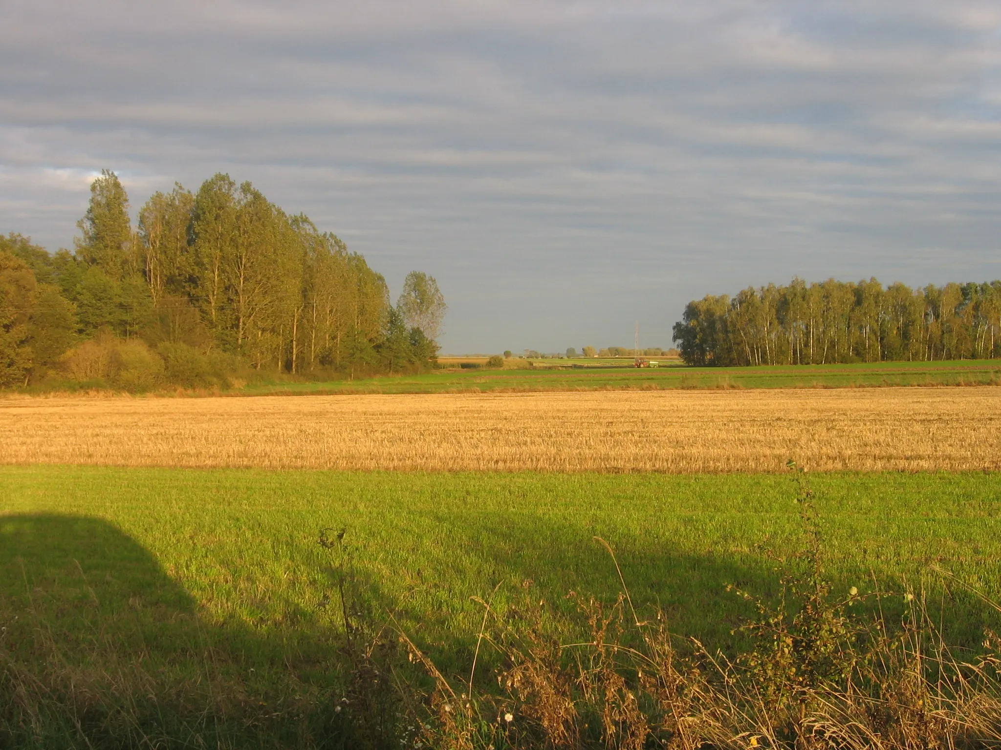 Photo showing: Pola w pobliżu wsi.