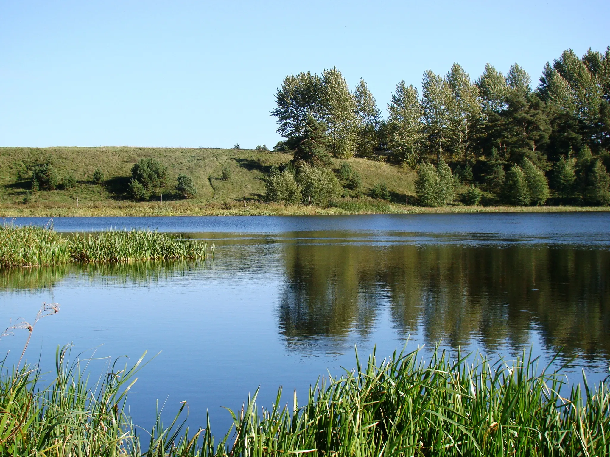 Photo showing: jezioro Sumowo przy wpływie Rospudy