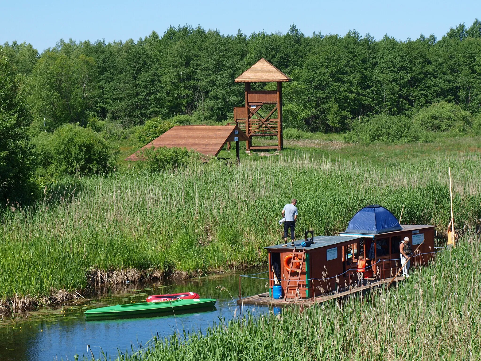 Photo showing: Kilkudniowe spływy tratwami biebrzańskimi rzeką Biebrzą w Biebrzańskim Parku Narodowym