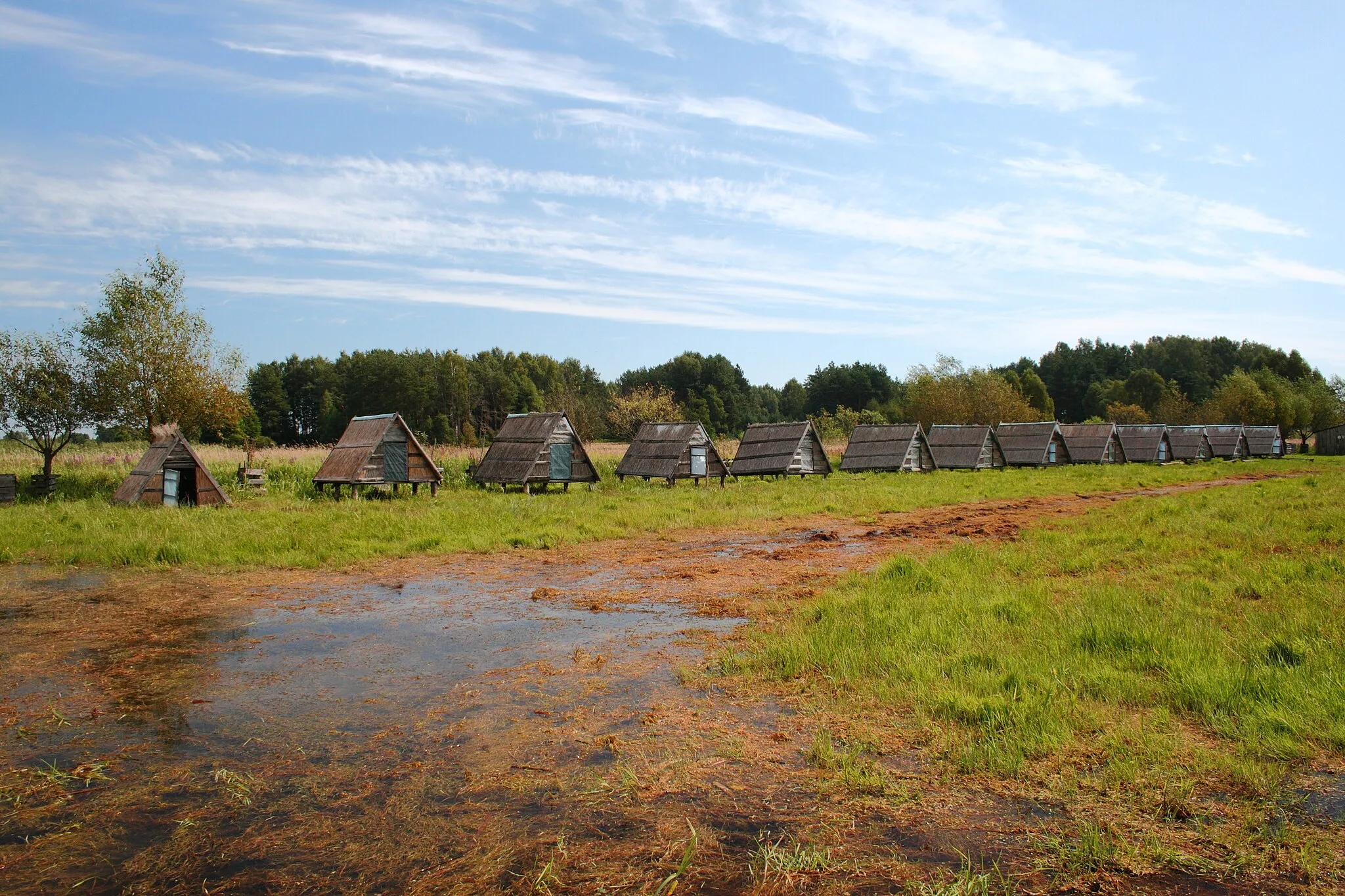 Photo showing: Camping in Sztabin by the Biebrza River. At the site of Biebrza National Park.