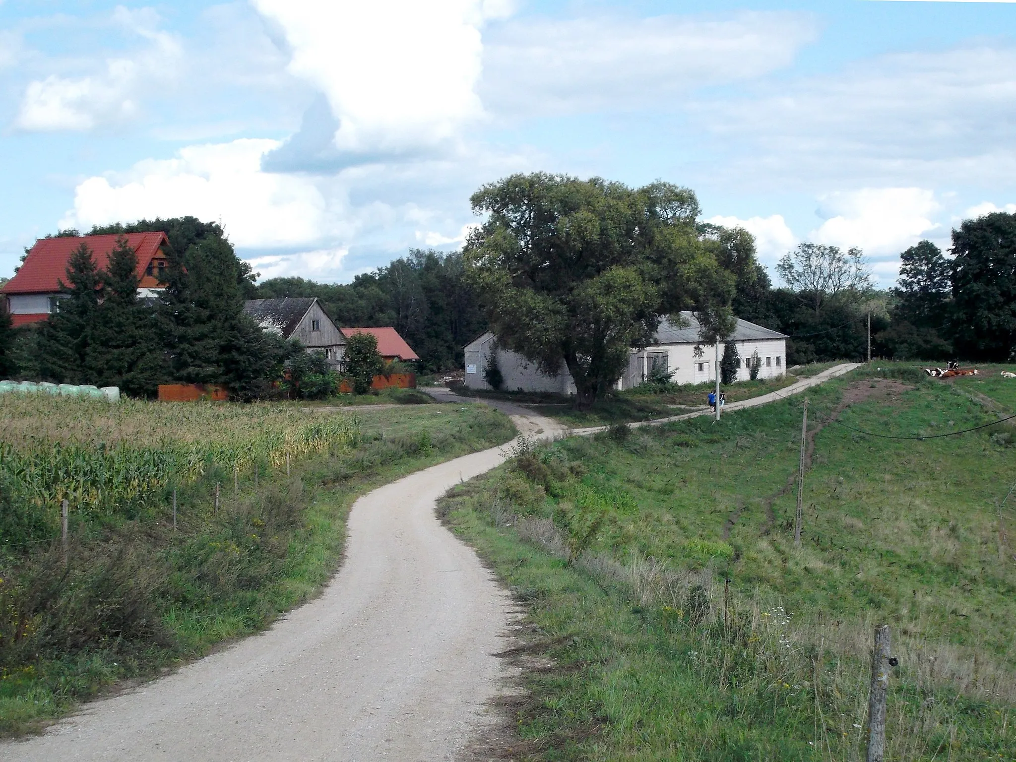 Photo showing: Village Szurpiły in Poland.