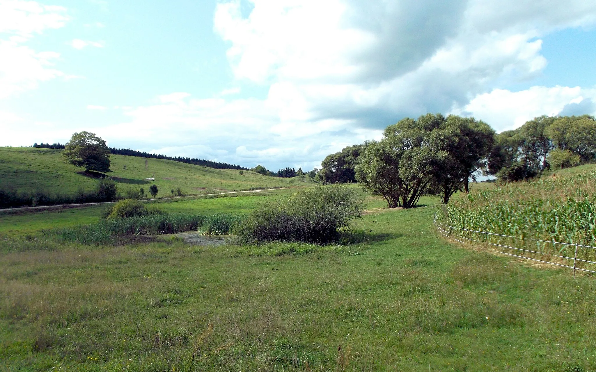 Photo showing: Landscape near village Szurpiły in Poland.