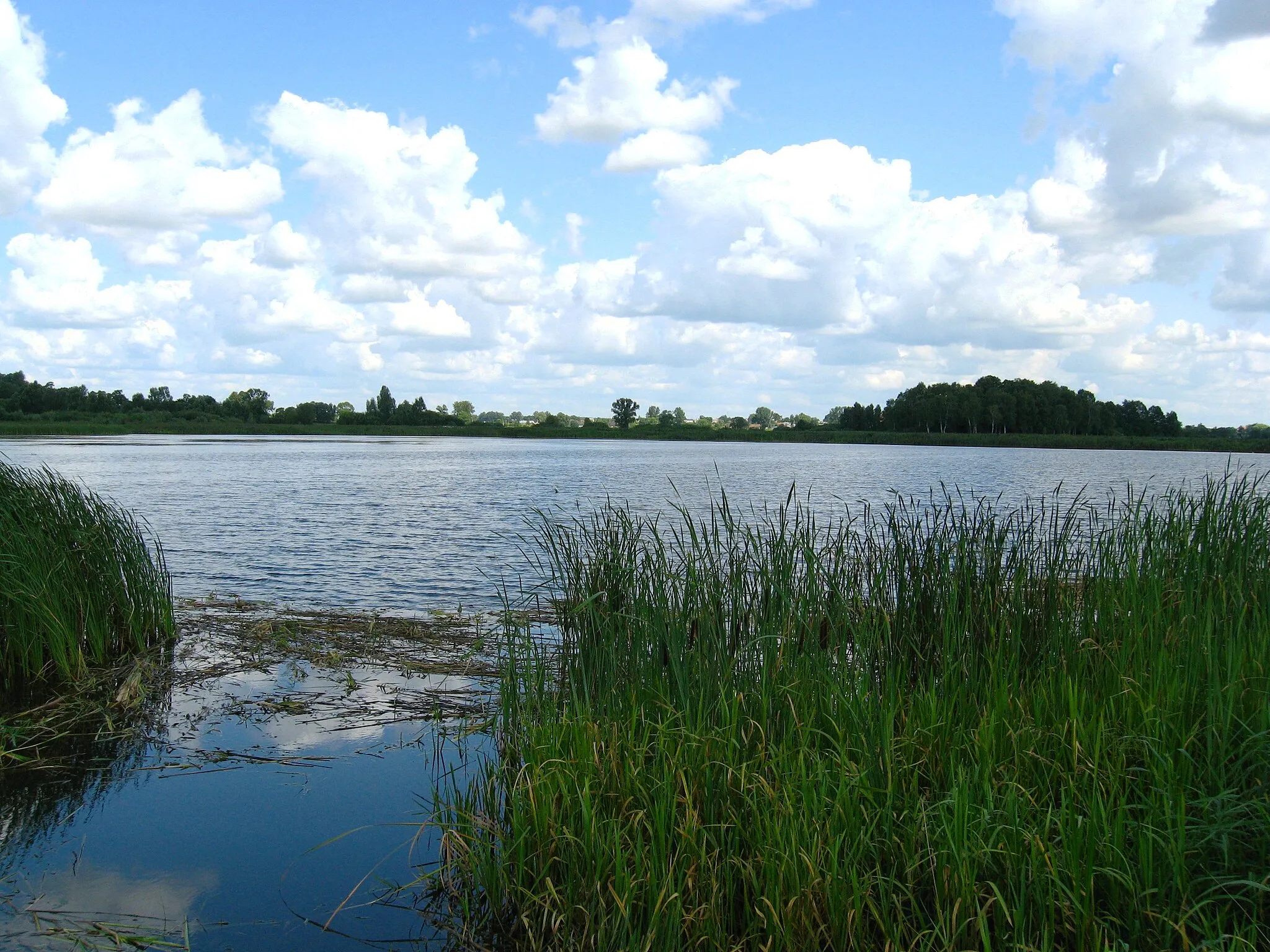 Photo showing: Gryszyska ponds at Knyszyn-Zamek