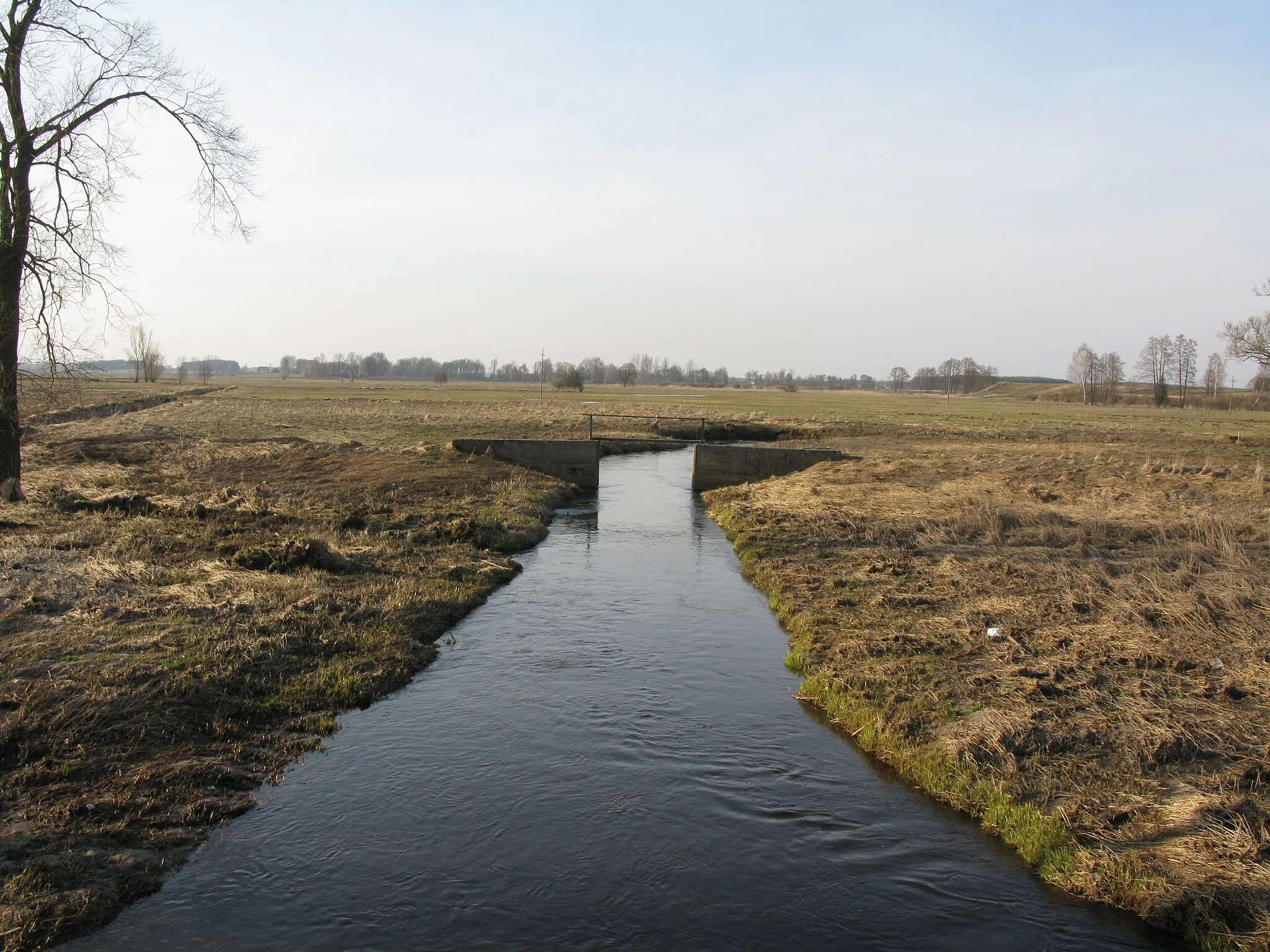 Photo showing: Rzeka Biała we wsi Biała. Widok z mostu na drodze powiatowej 1601B w kierunku północnym.