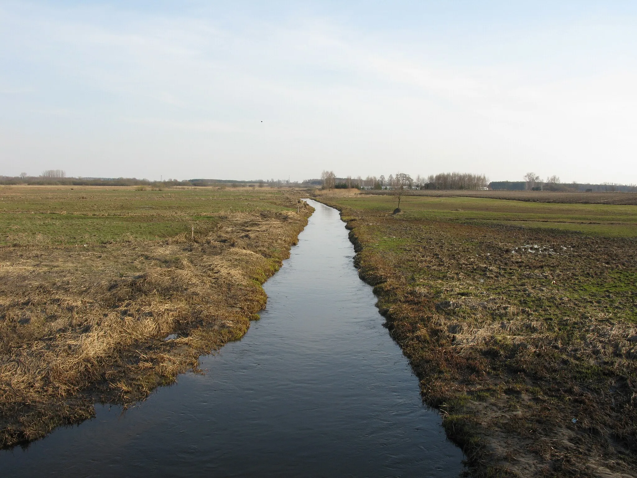 Photo showing: Rzeka Biała we wsi Biała. Widok z mostu na drodze powiatowej 1601B w kierunku południowym.