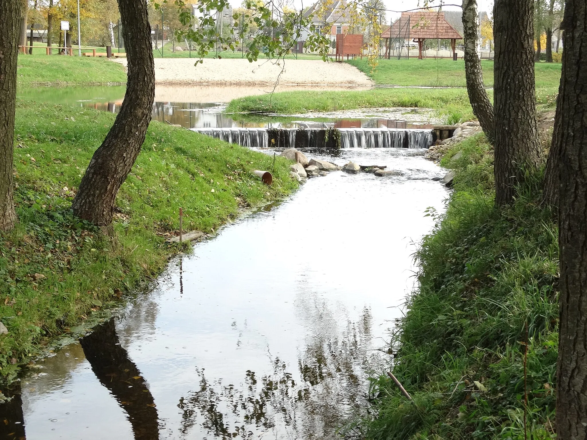 Photo showing: Raišupis River, Lazdijai, Lithuania