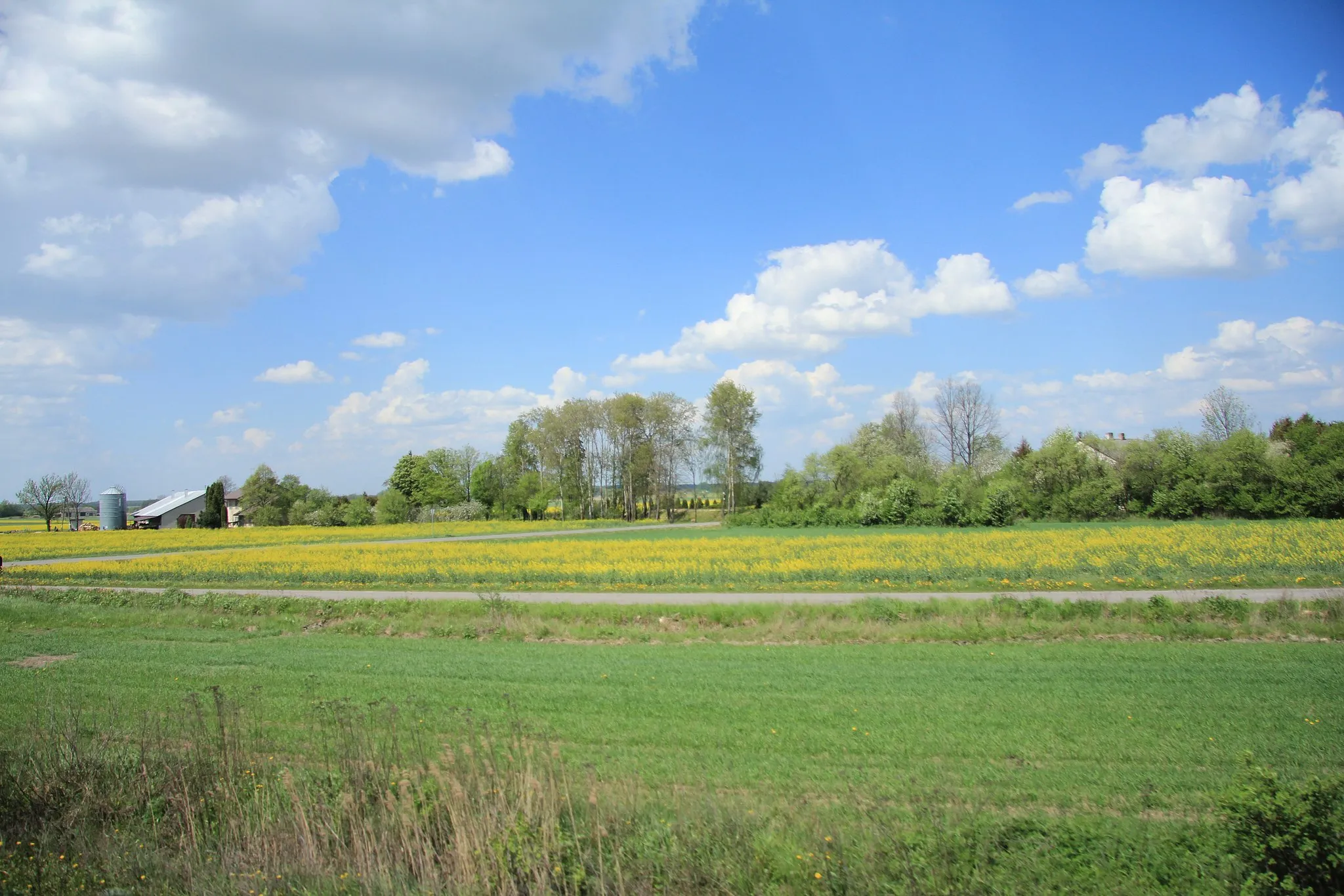 Photo showing: Godlewo-Piętaki gm. Czyżew, woj. podlaskie