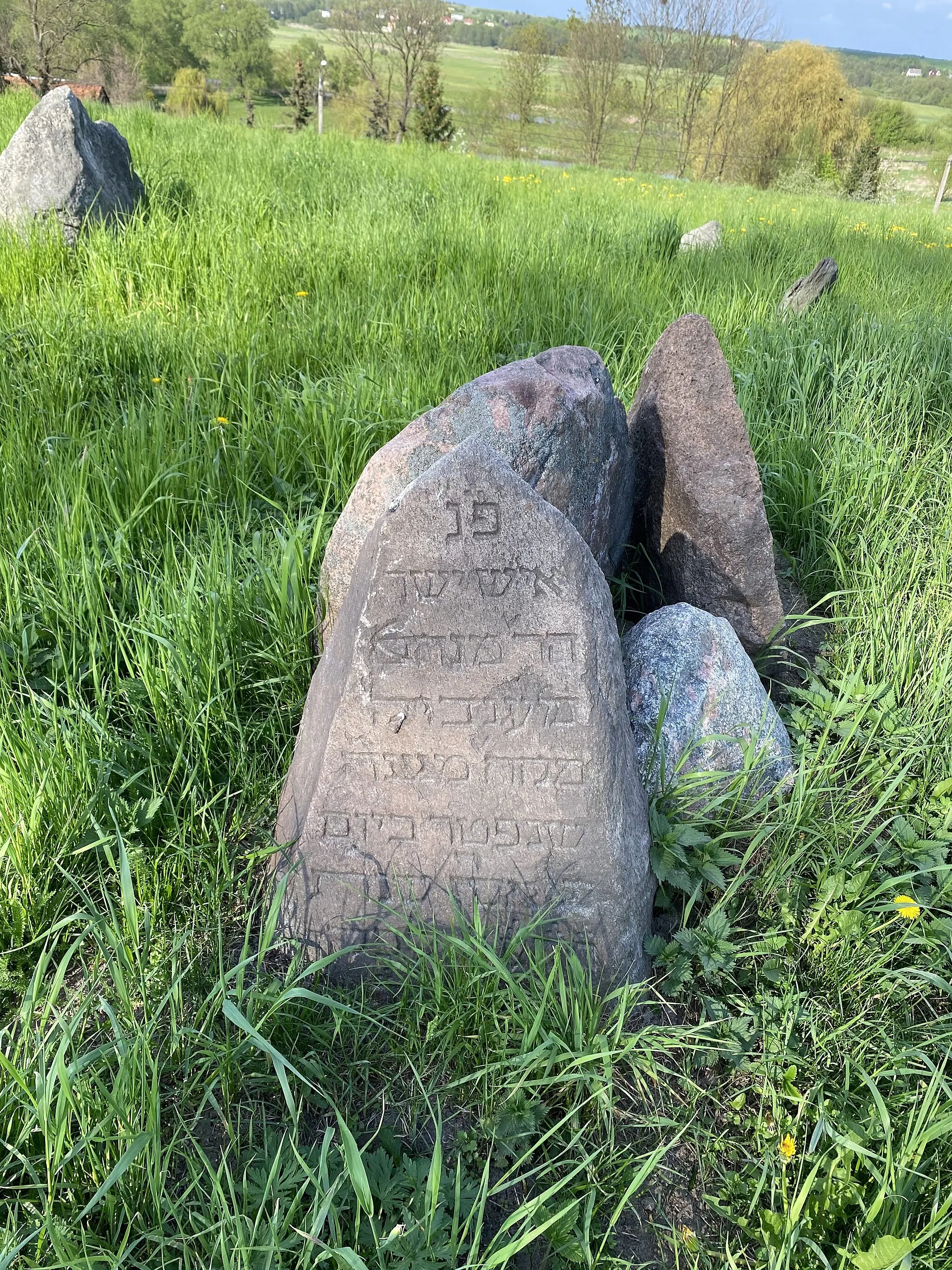 Photo showing: Jewish cemetery in Dukla